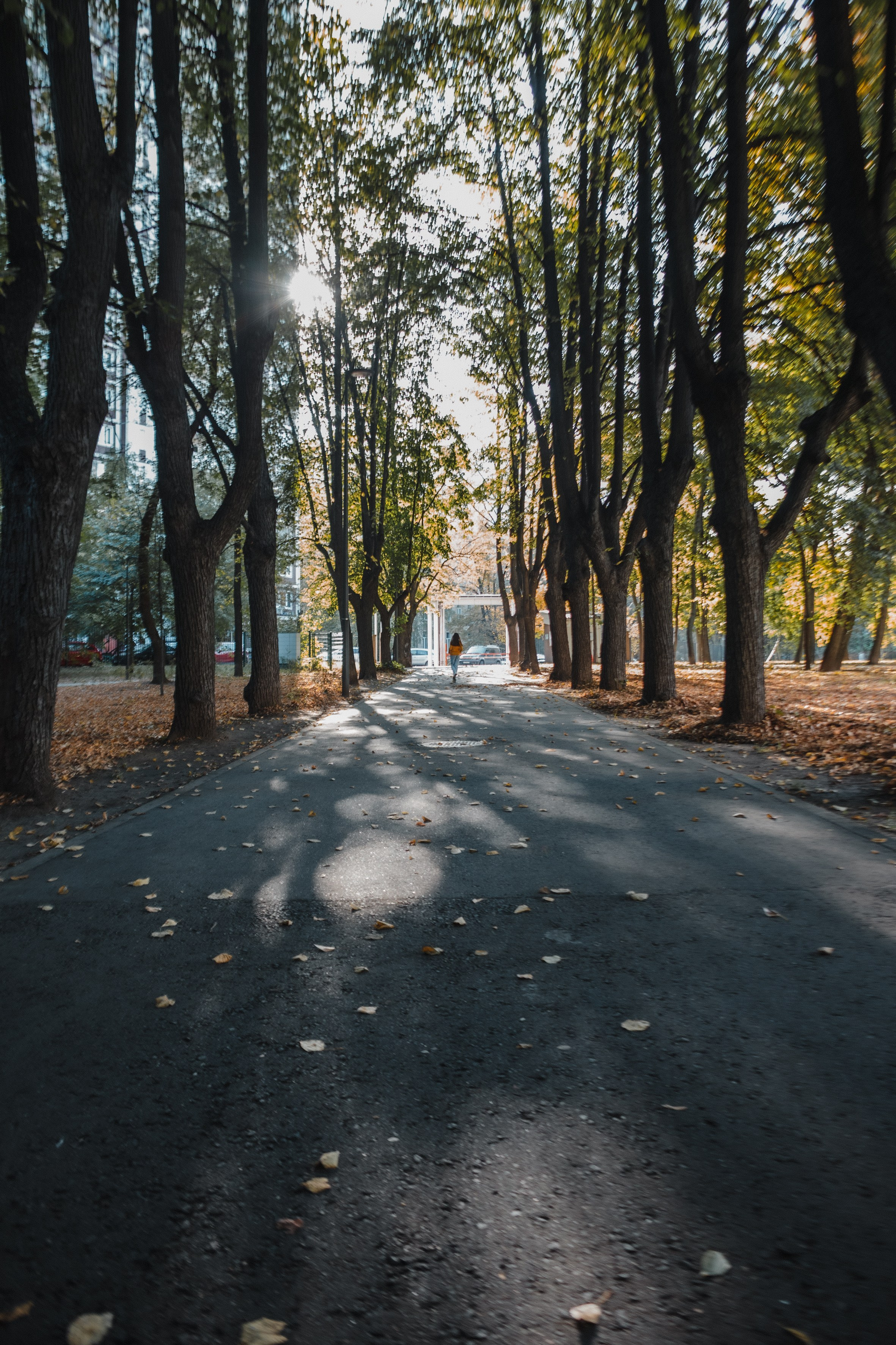 Осенний детский портрет (прогулка). Портретный и репортажный фотограф в Москве, Ольга Ларема