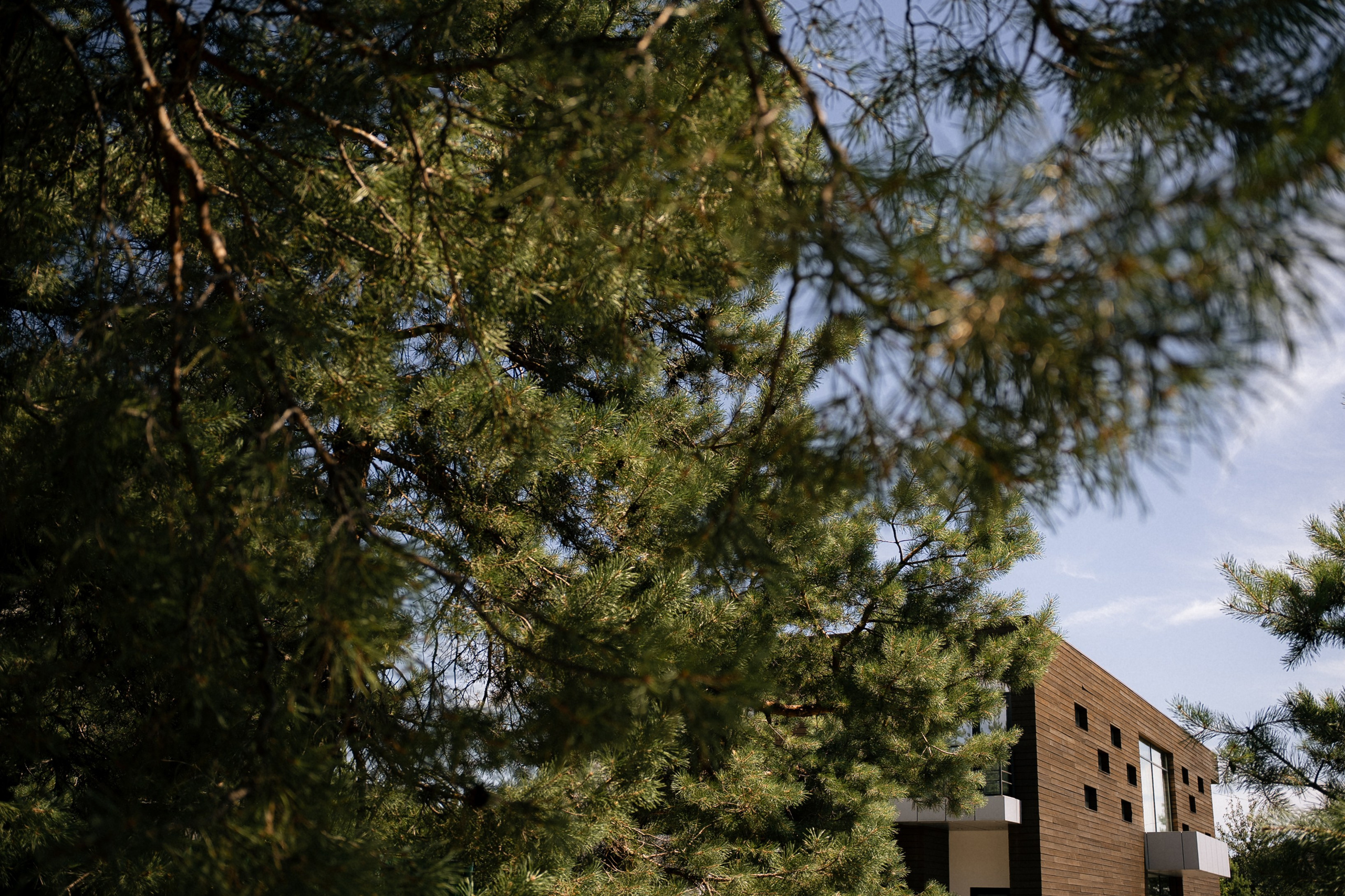 Katya+Kirill/ Anons. Семейный и портретный фотограф в Саратове Сахарова Маша