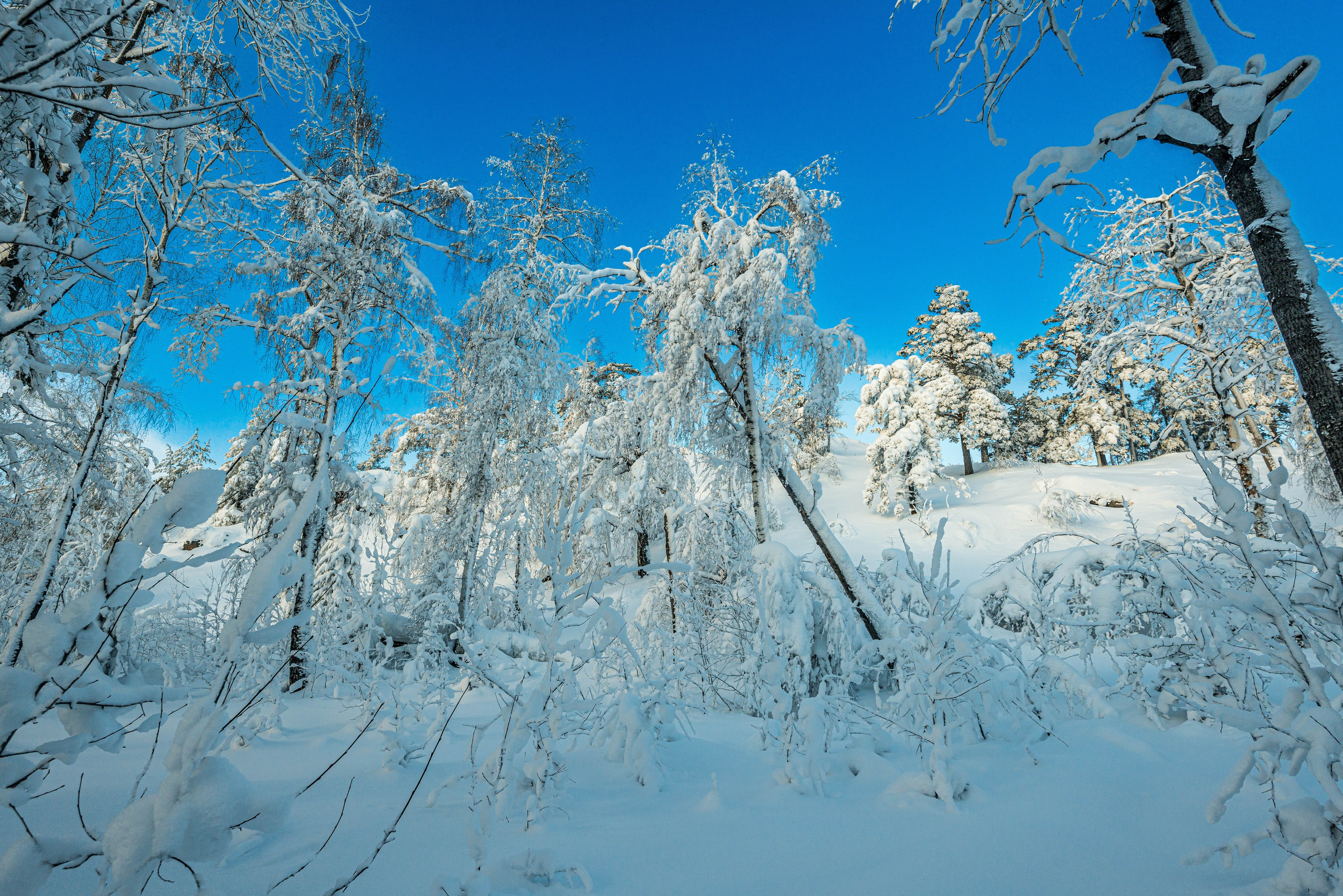 Таганай Семибратка, Парк Бажова, ледяной фонтан 06.01.2024. Свадебный фотограф на Урале Виктор Соколов