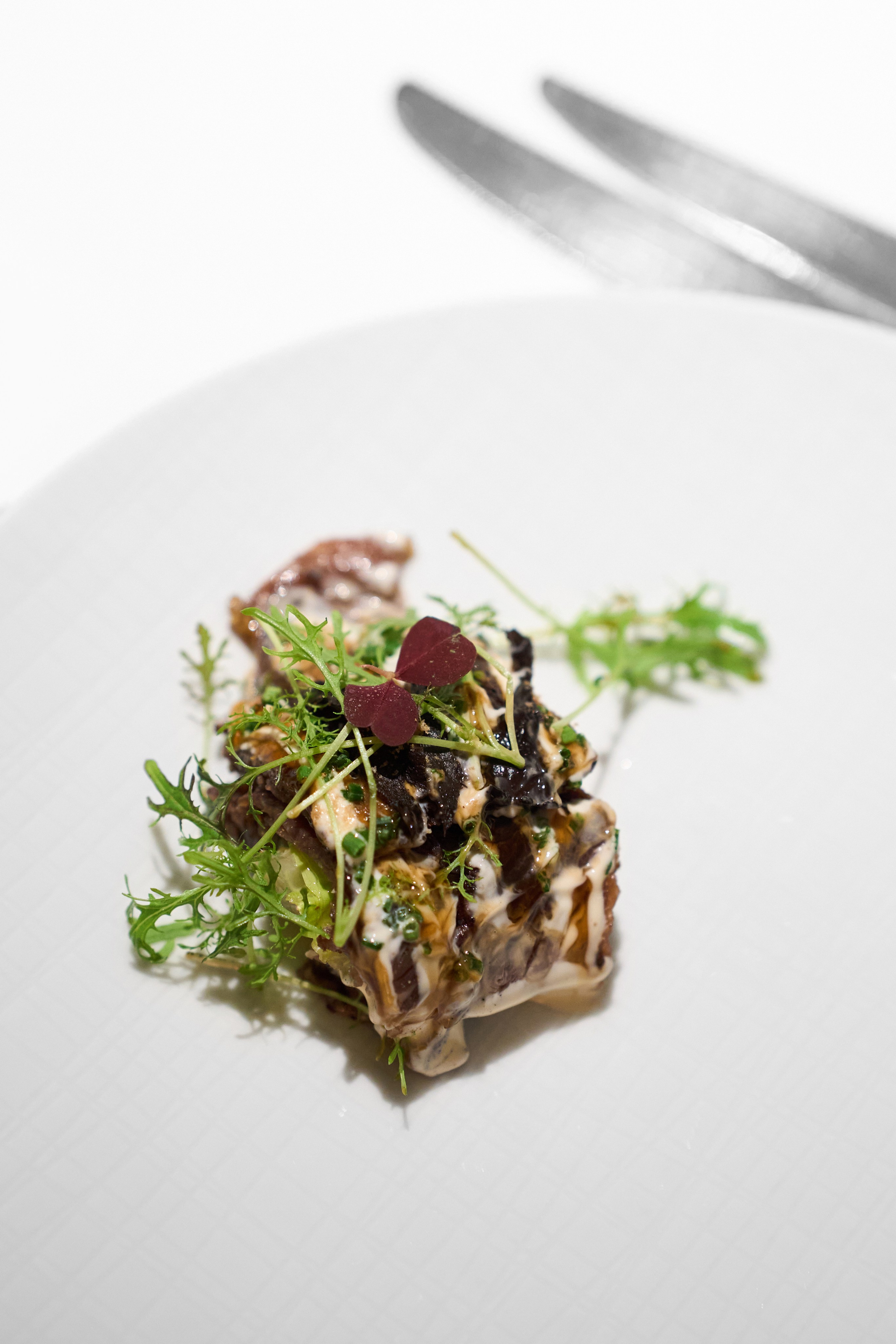 БОЛЬШОЙ ТЕАТР x GASTROCAMP x SAVVA. Anne Demia