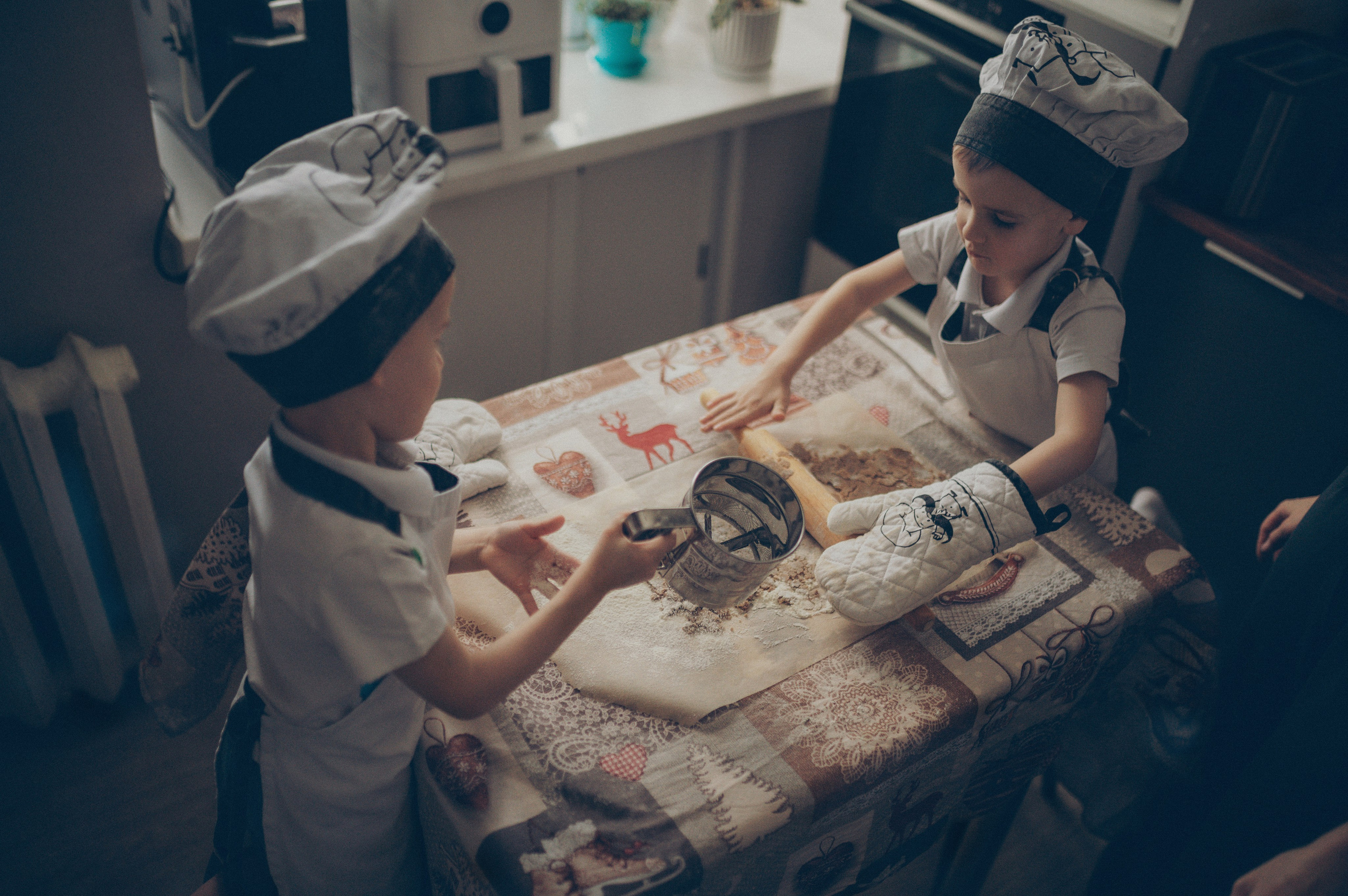 Поворята Миша и Тимофей (домашняя). Фотограф, г. Лесной Свердловской области