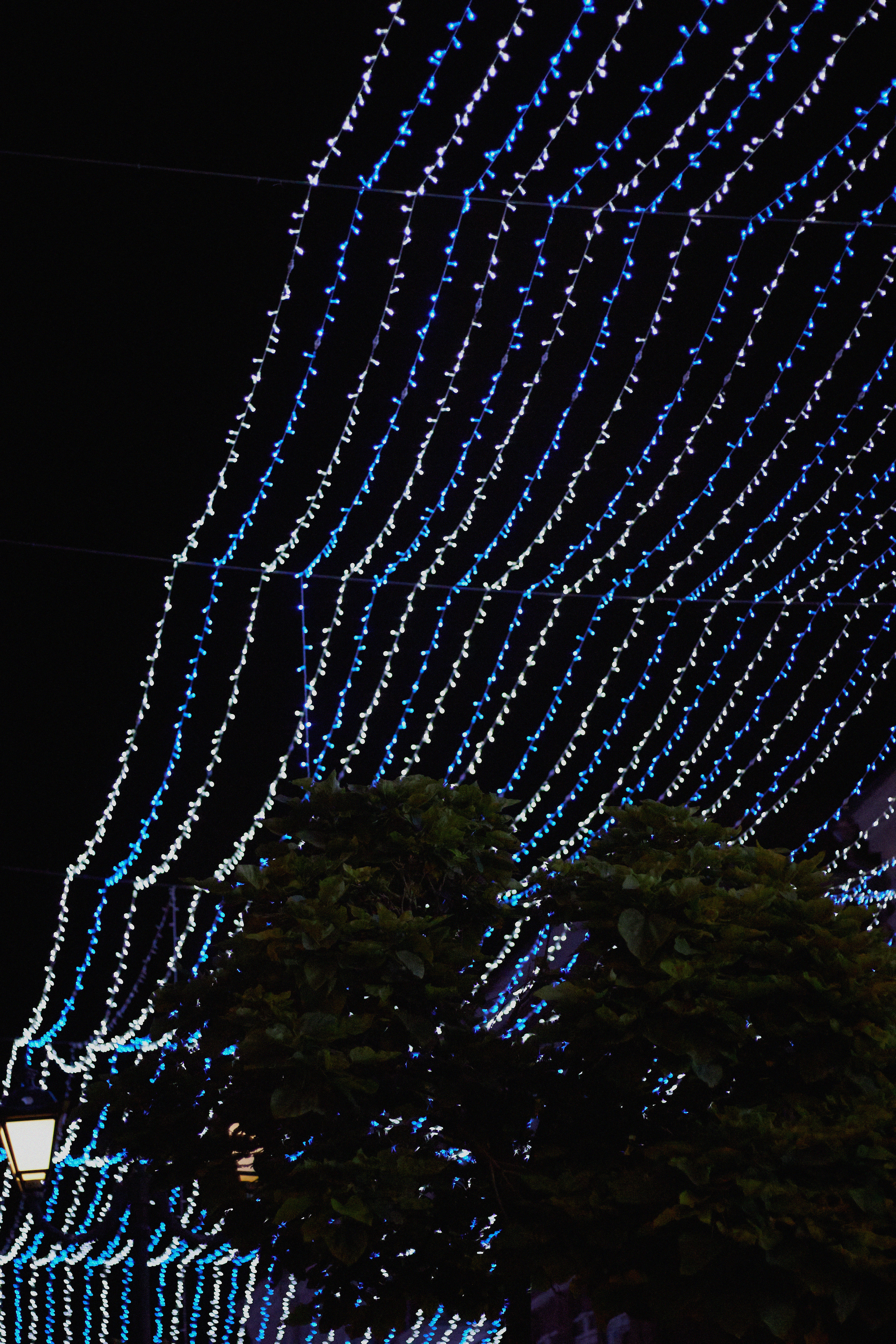 Максим и Аня. Фотограф в Ростове-на-Дону Нюхарева Виктория