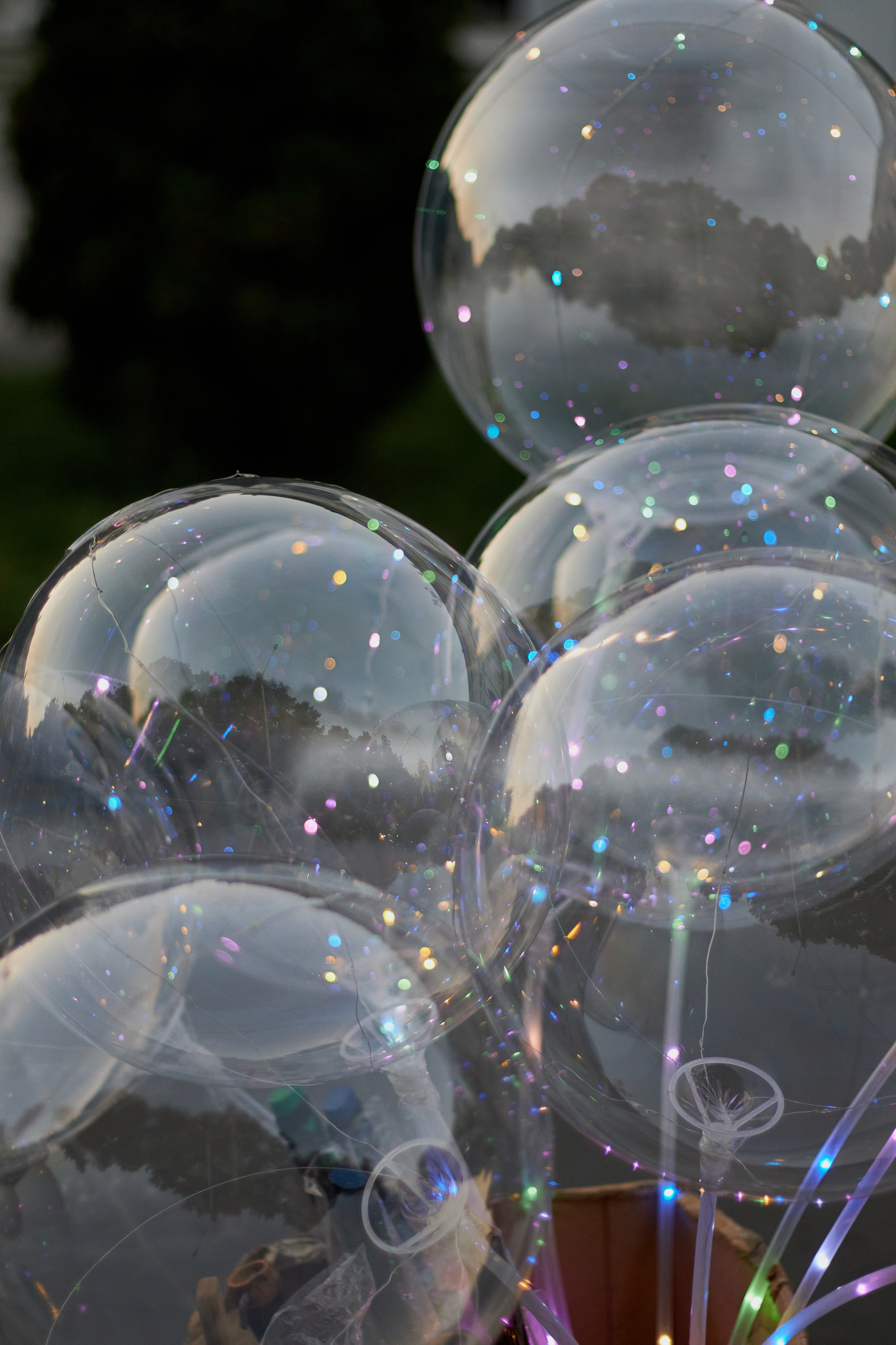 270 лет Атаману Платову Новочеркасск. Фотограф в Ростове-на-Дону Нюхарева Виктория