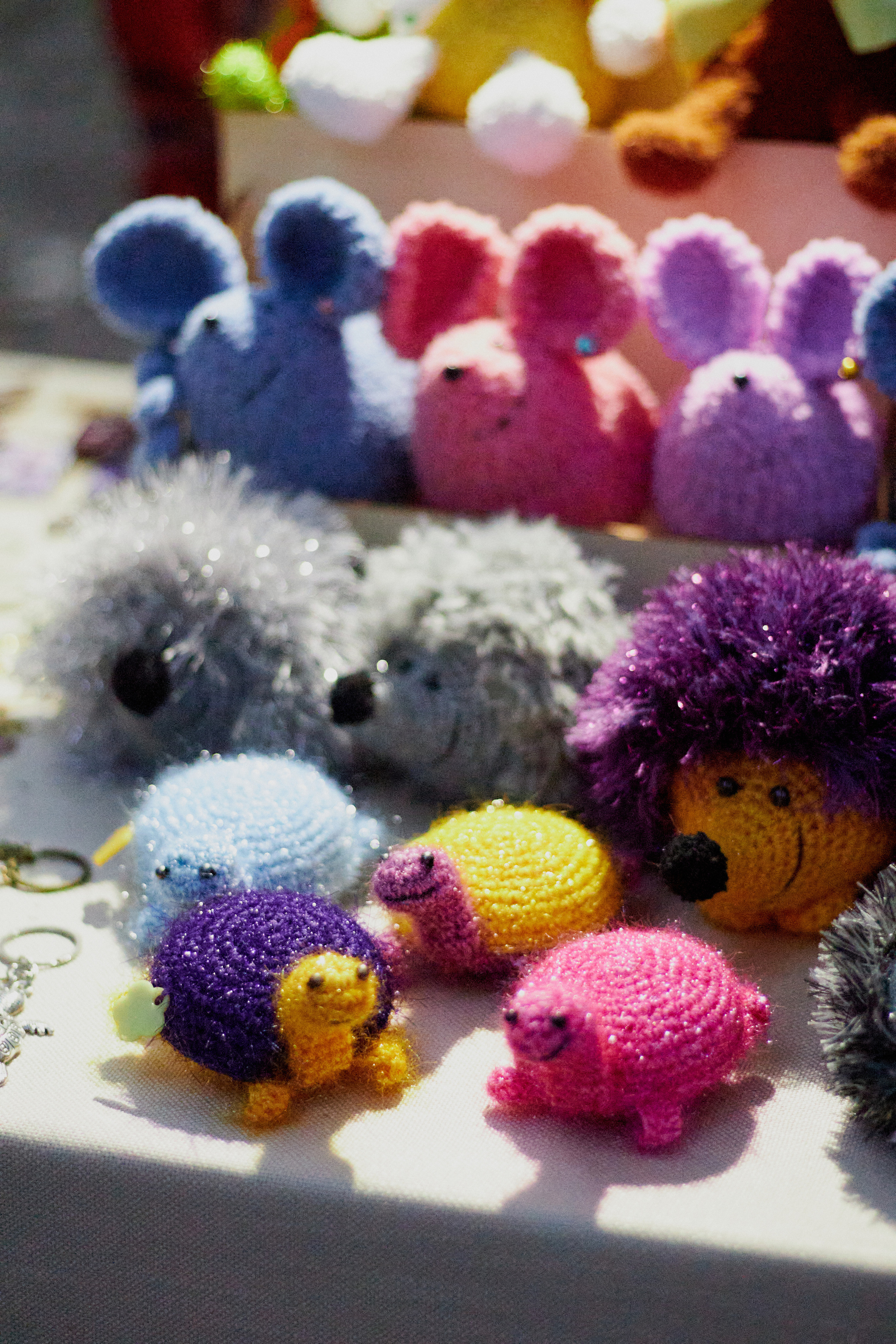 270 лет Атаману Платову Новочеркасск. Фотограф в Ростове-на-Дону Нюхарева Виктория