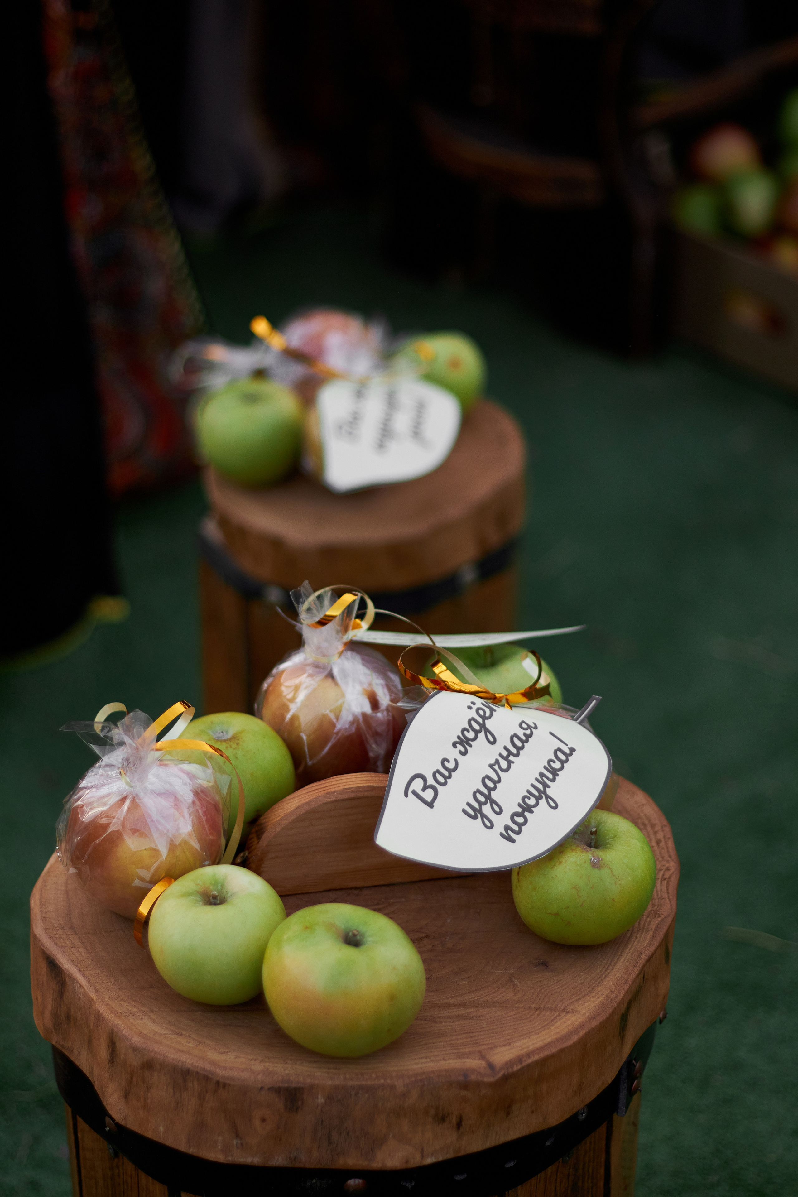 270 лет Атаману Платову Новочеркасск. Фотограф в Ростове-на-Дону Нюхарева Виктория