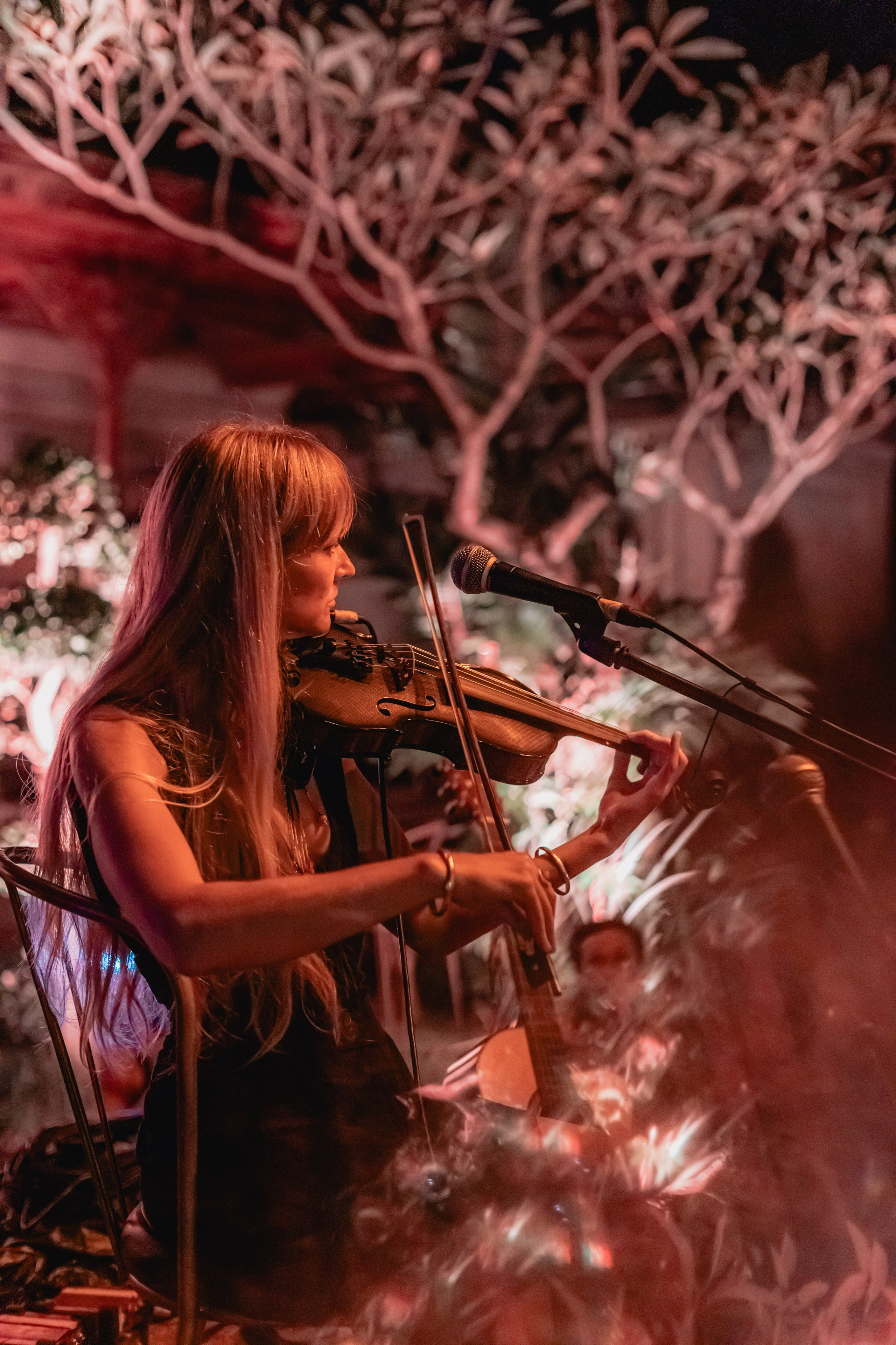 Alegria festival at Zest. Мариам Багдасарян