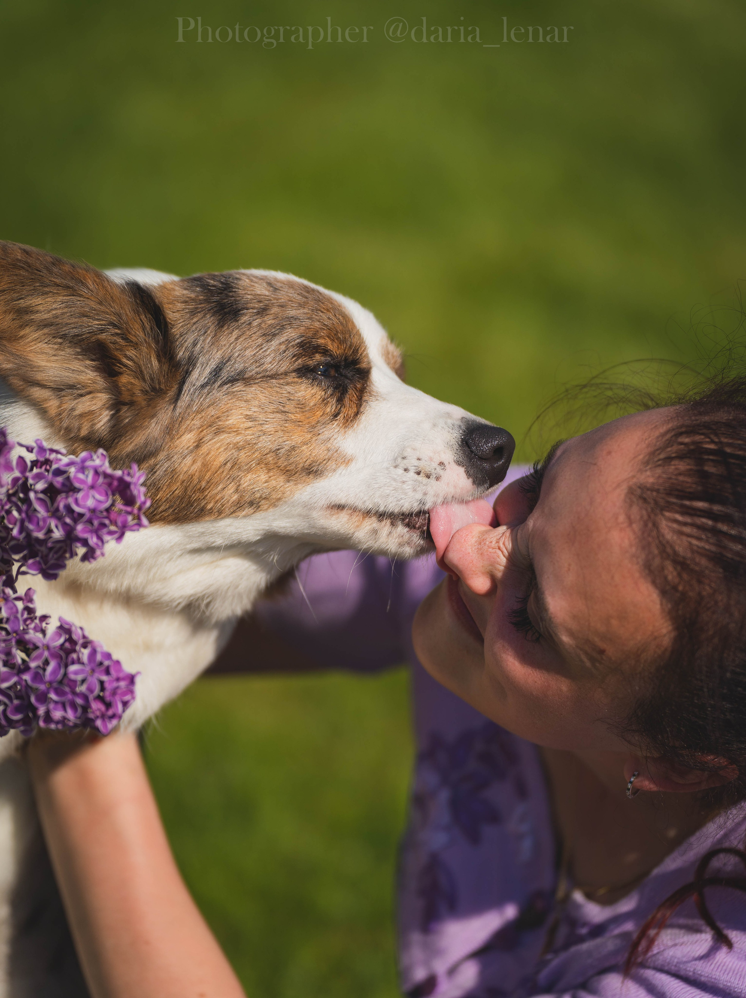 Выставки собак. Фотограф в Москве Ленарская Дарья