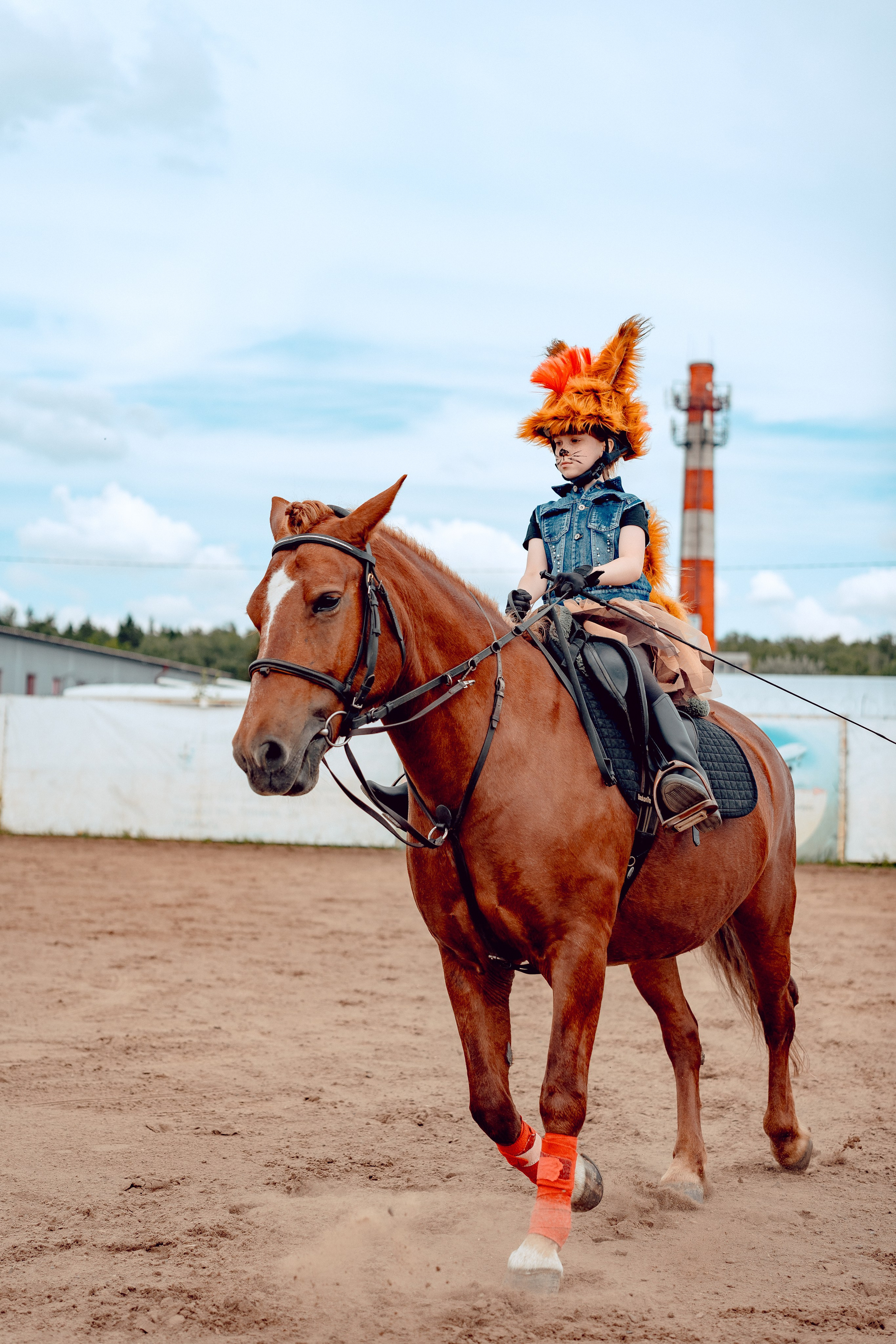 Hourse. Портретный и семейный фотограф в Москве/Видное