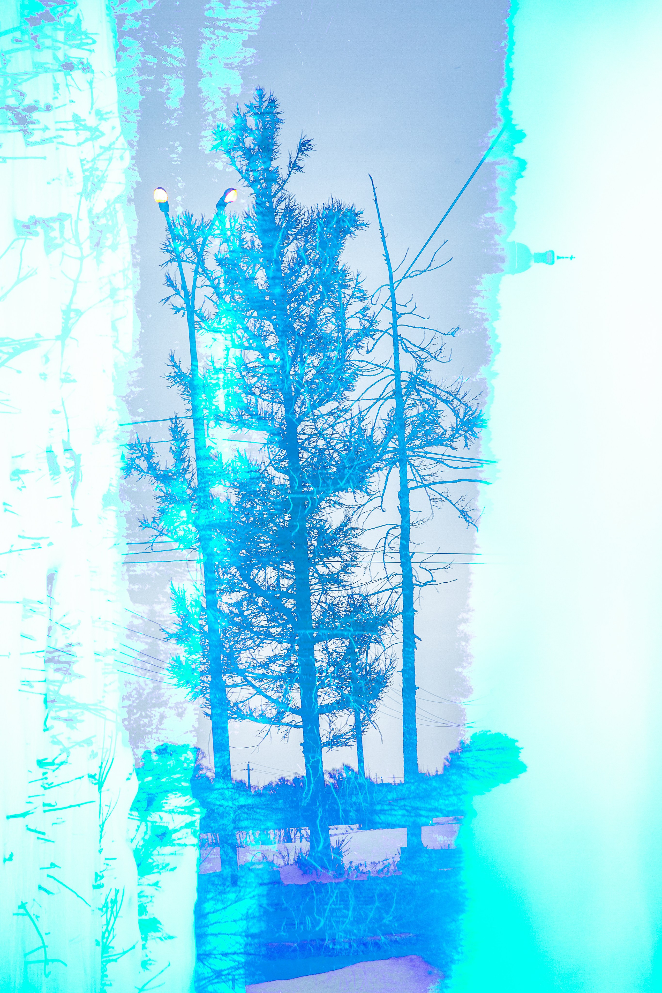 ИГГДРАСИЛЬ, 2025-2026. АННА ВЕРСО / ANNA VERSO | Визуальный художник / Visual artist