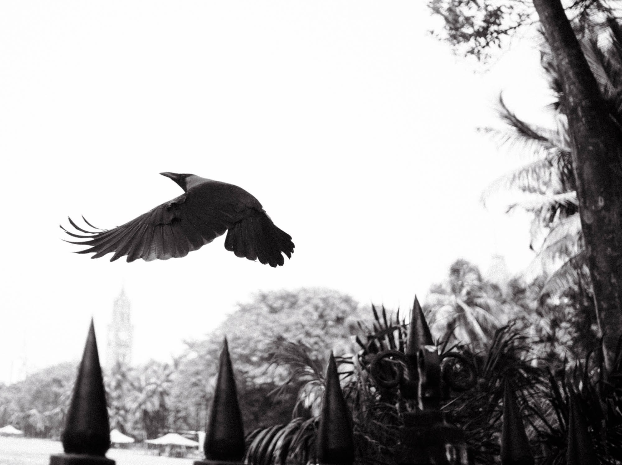 INDIA. Фотограф Дмитрий Олрайт | Калуга, Россия