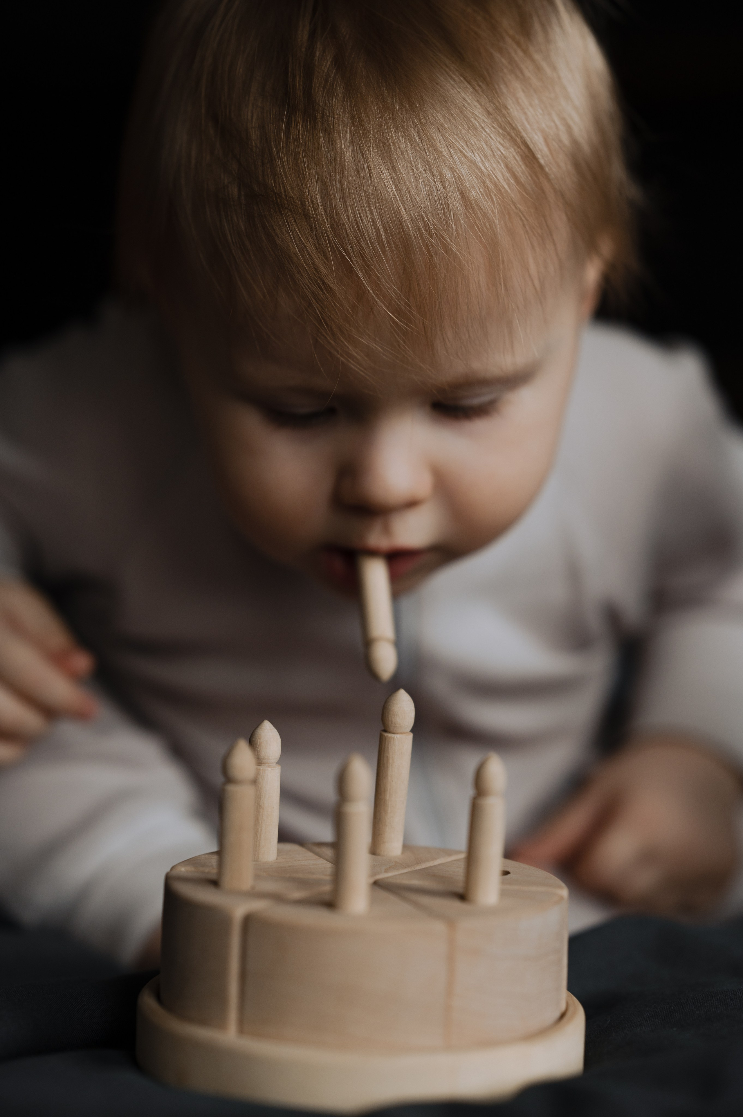 Лев, фотостудия Истории. Фотограф Красноярск Екатерина Карпеза