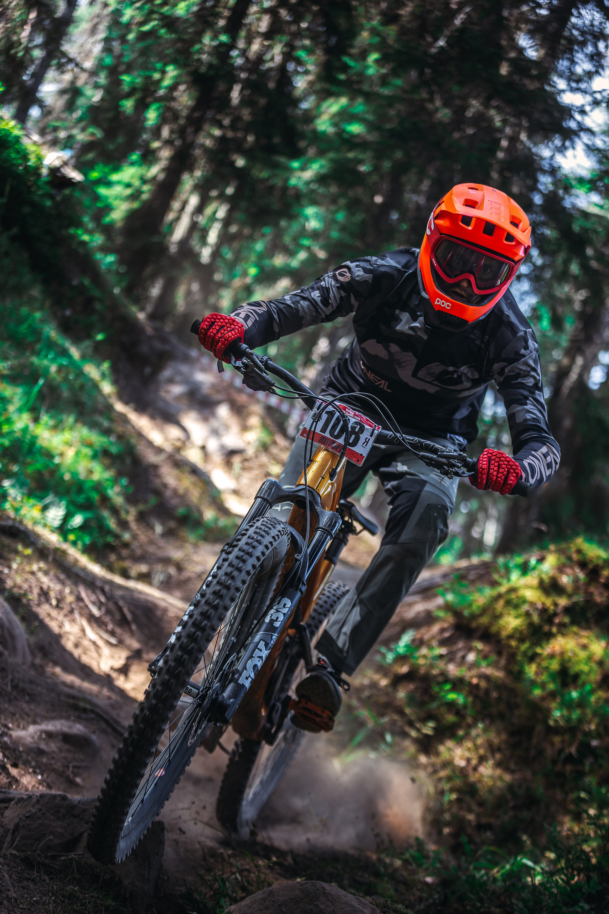 Гонка Ялгора. Фотограф анималист Никита Натальный