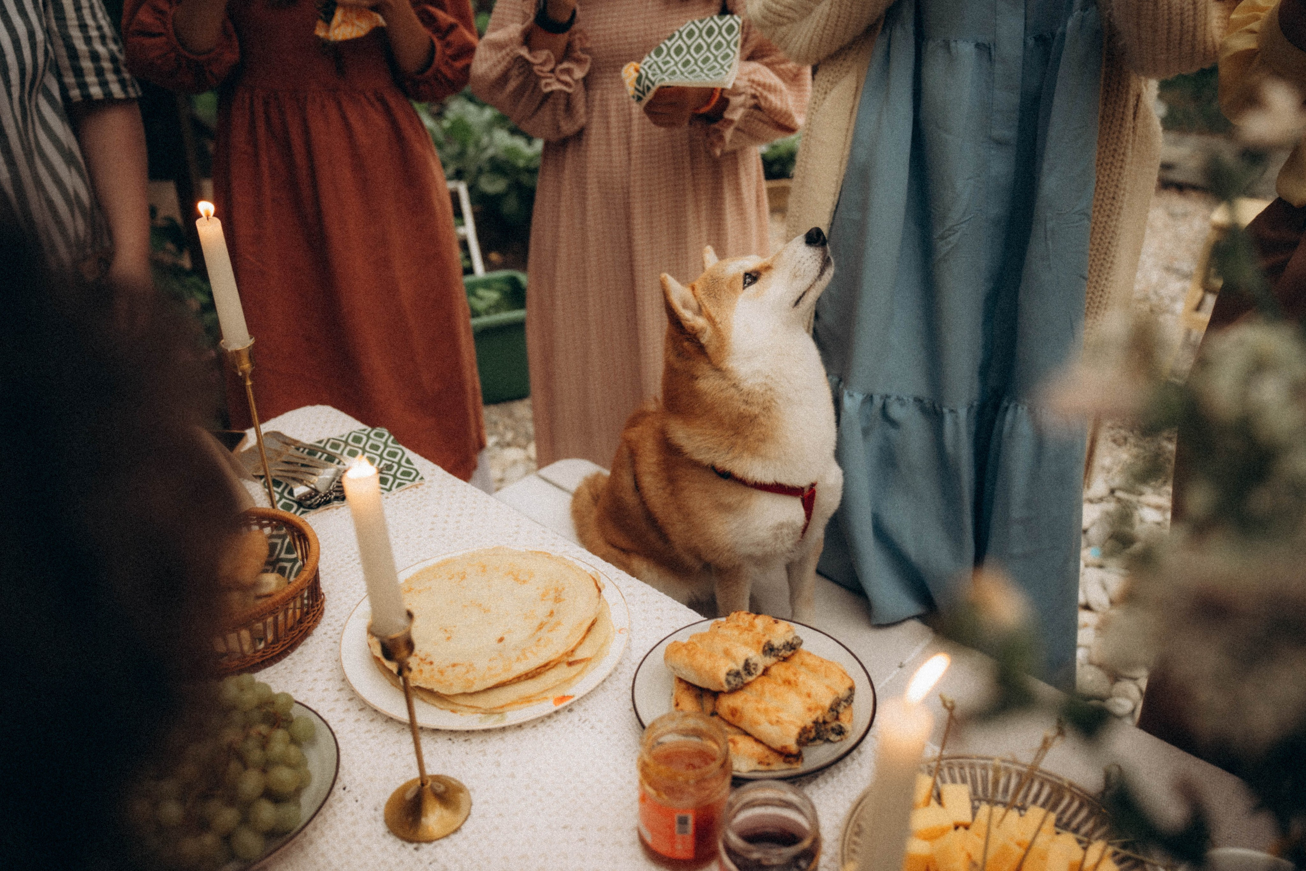 Встречи книжного клуба. Фотограф Москва Селюкова Юлия