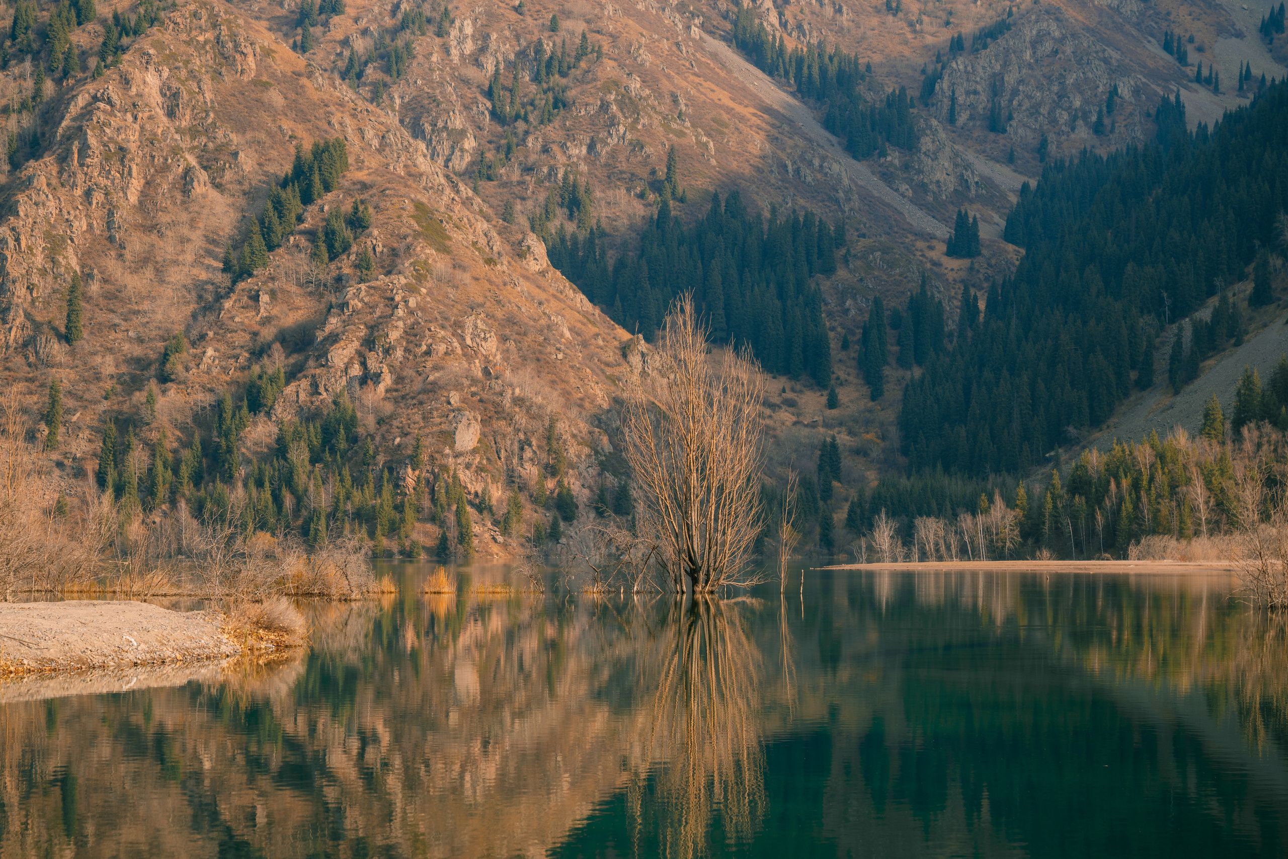 Озеро Иссык, осень 2025. Фотограф в Алматы — Алексей Коньков | Репортаж, свадьбы, портреты
