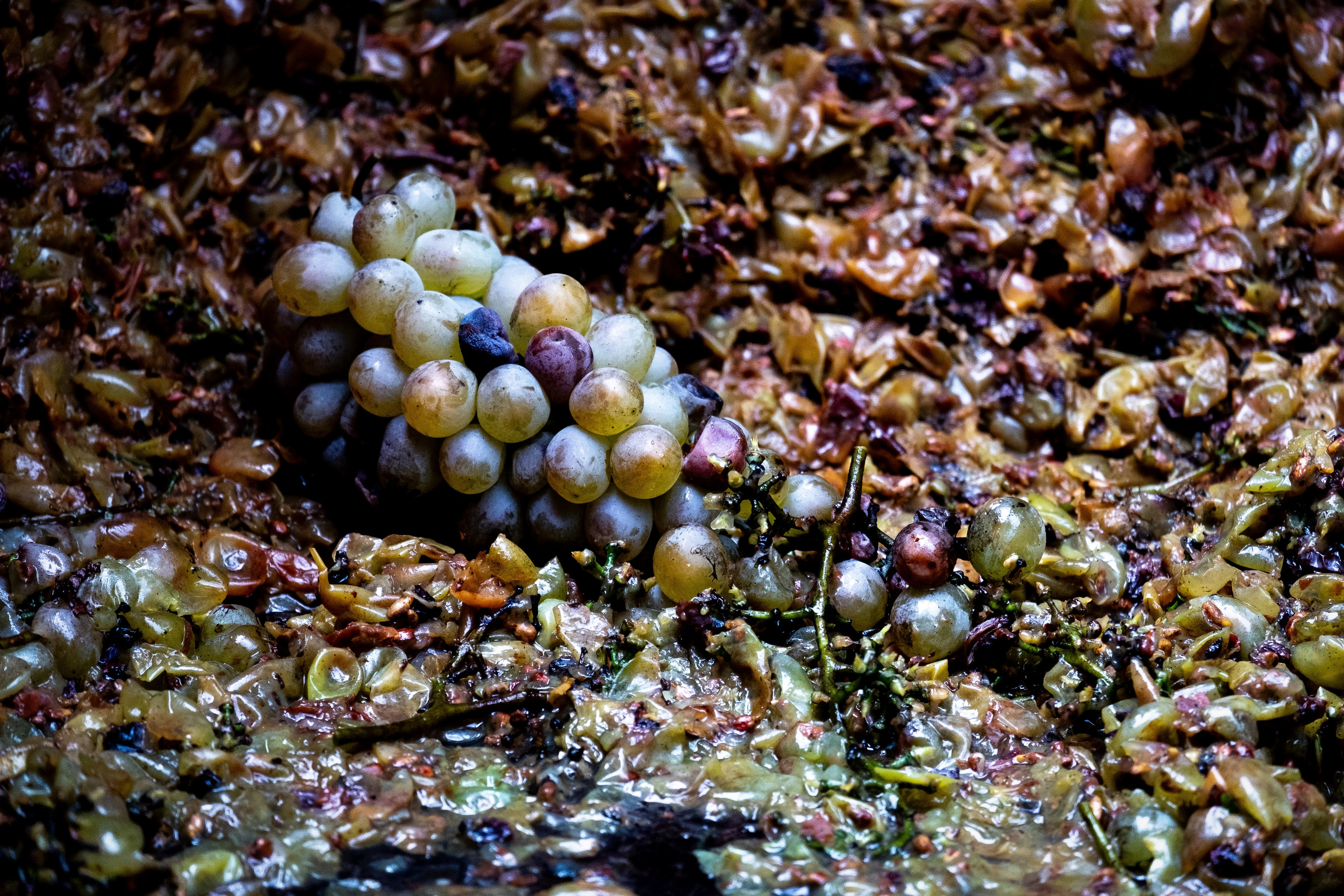 ГРУЗИЯ. ПОБУДЬ ЗДЕСЬ И ЦЕЛЕЕ БУДЕТ ЭТОТ МИР