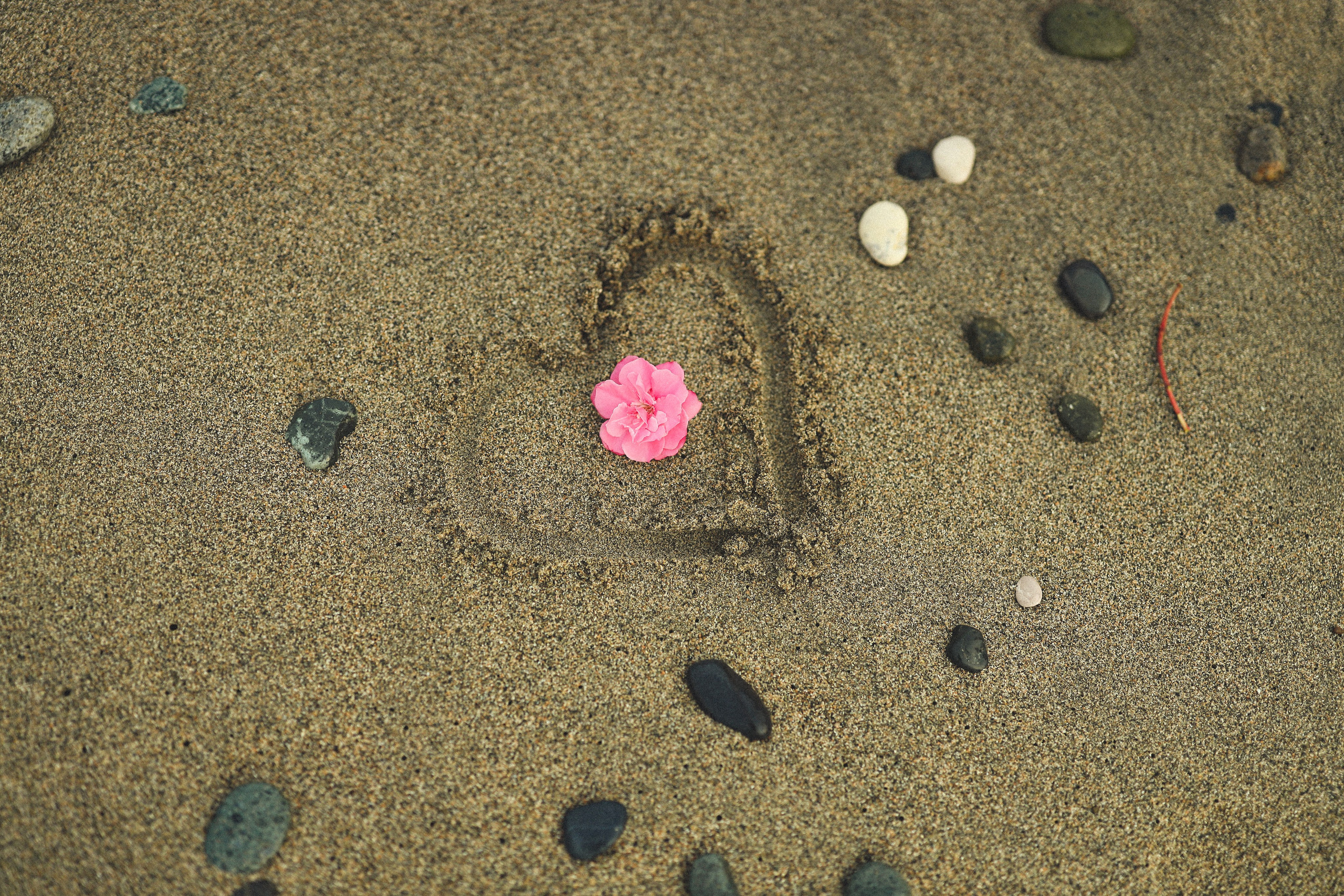 Максим +Елизаветта. Свадебный и семейный фотограф в Абхазии Жанна Соснина