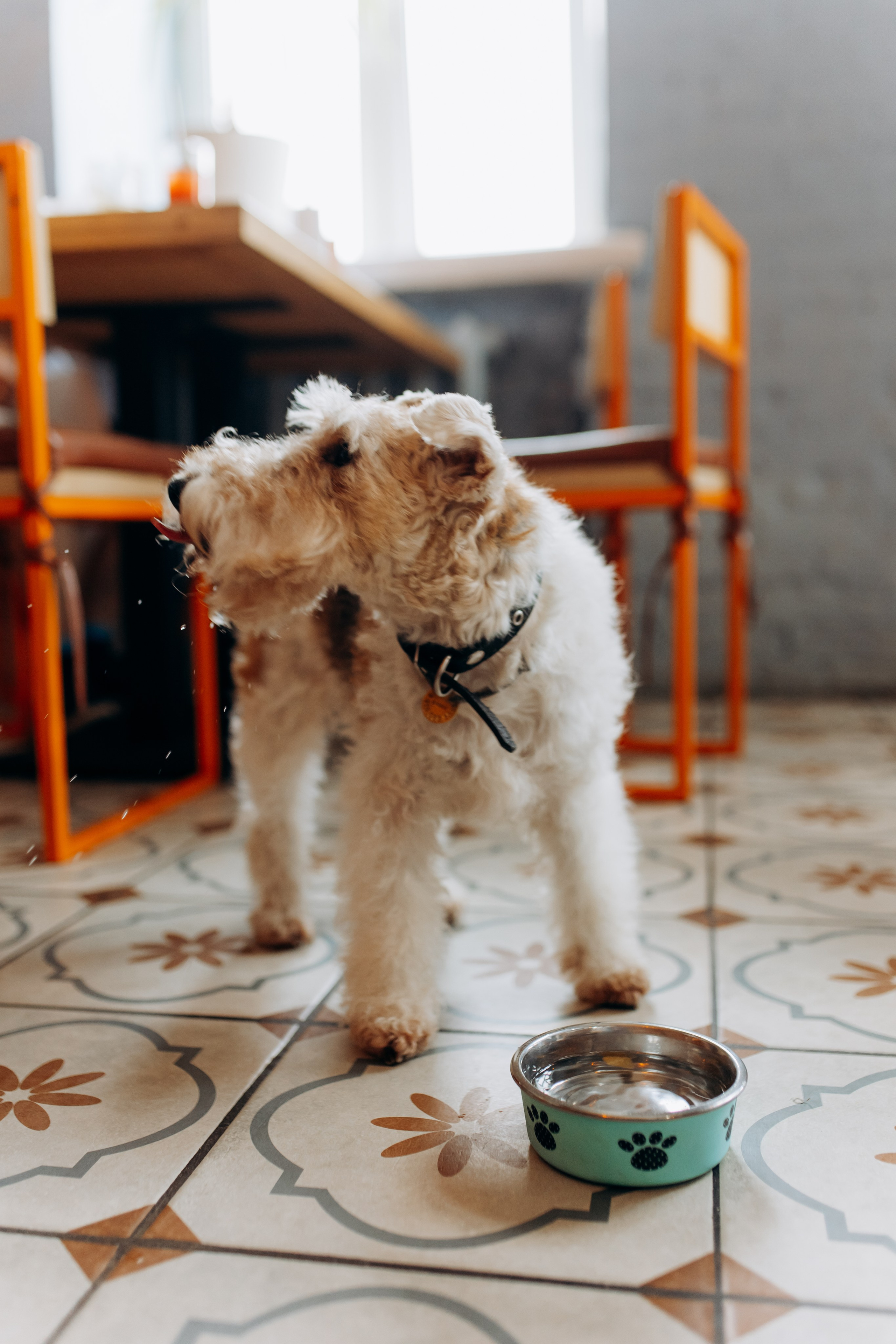 По бургеру в «Карл Маркс». Свадебный и семейный фотограф в Туле и области Маша Костина