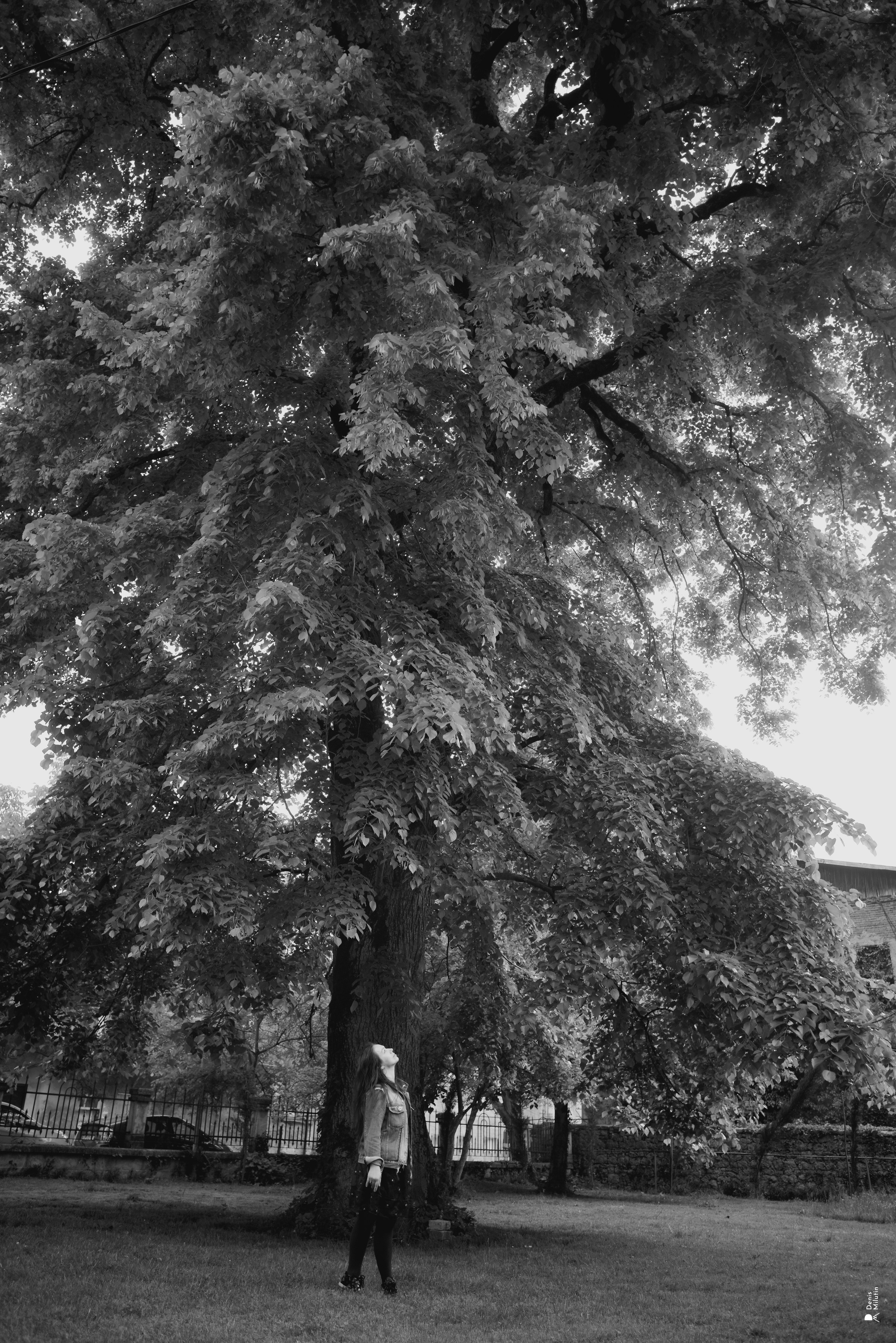 Ana Stasia. Портретный фотограф Денис Милютин