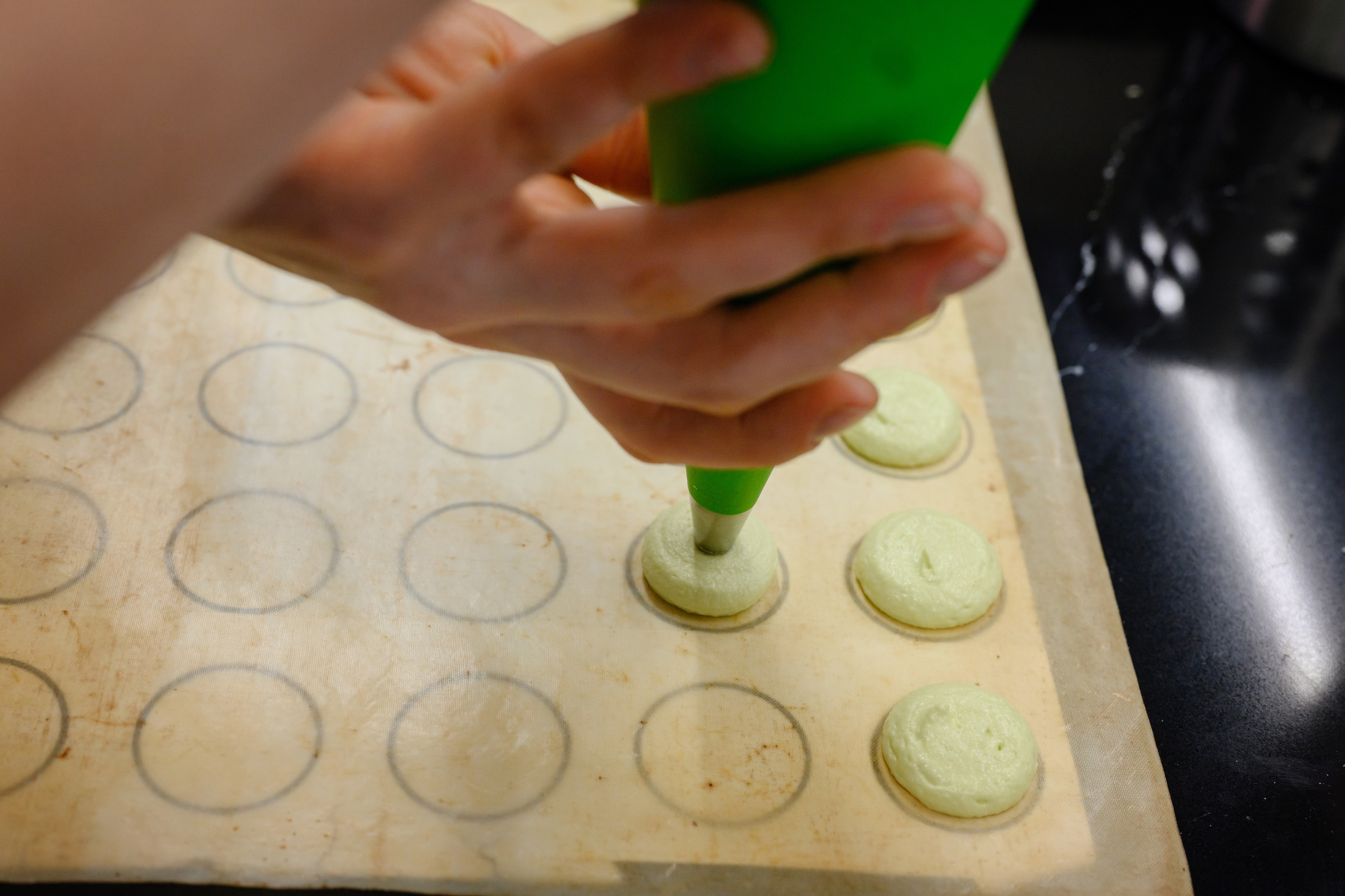 Kenwood. Семейный фотограф и анималист в Москве и Московской области