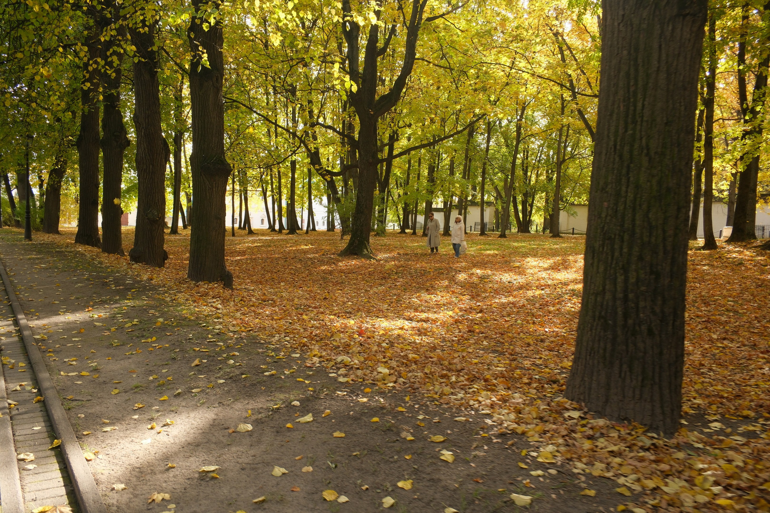 Коломенское 04.10.2025. Улица, люди, жизнь…