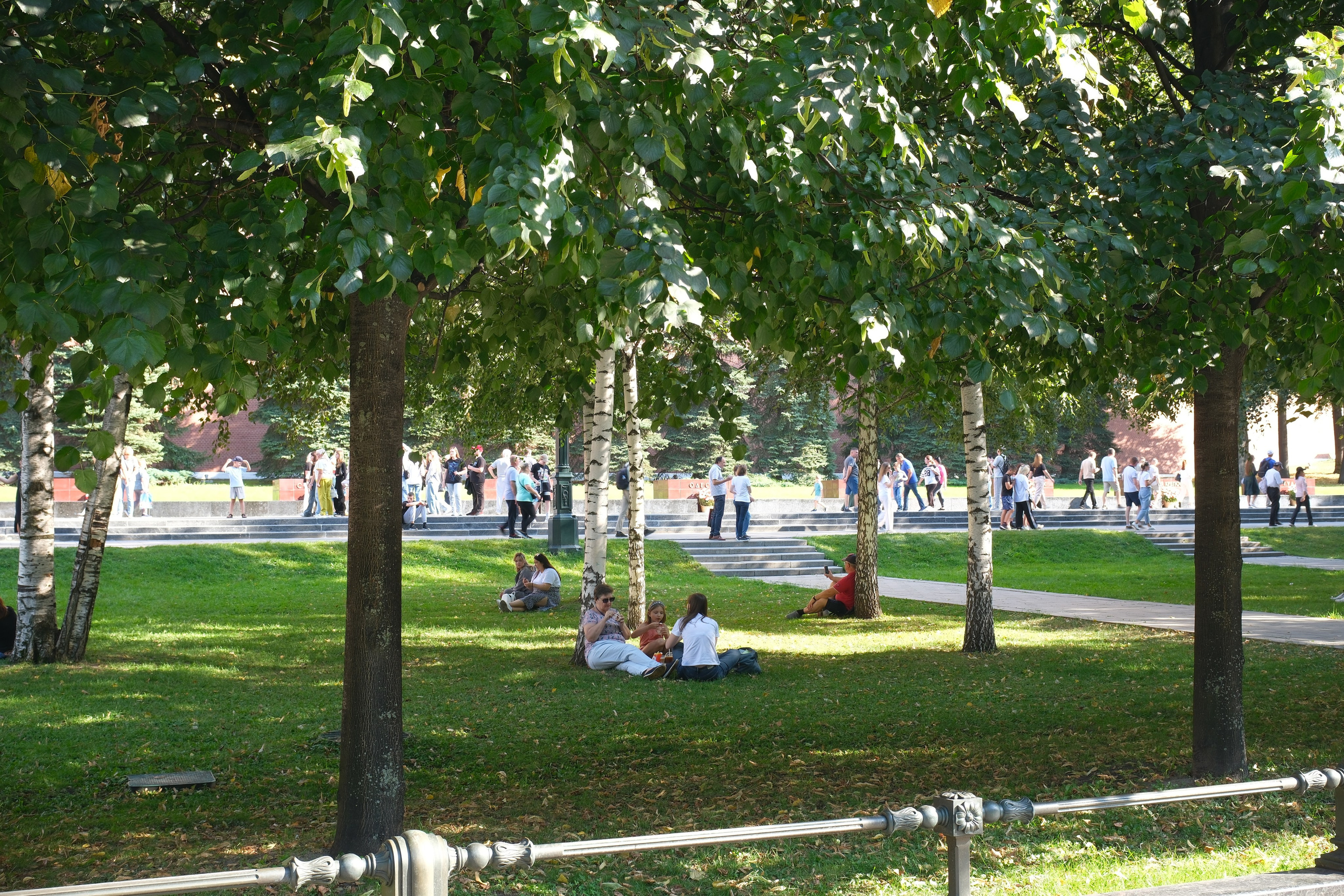 День города 2024. Улица, люди, жизнь…