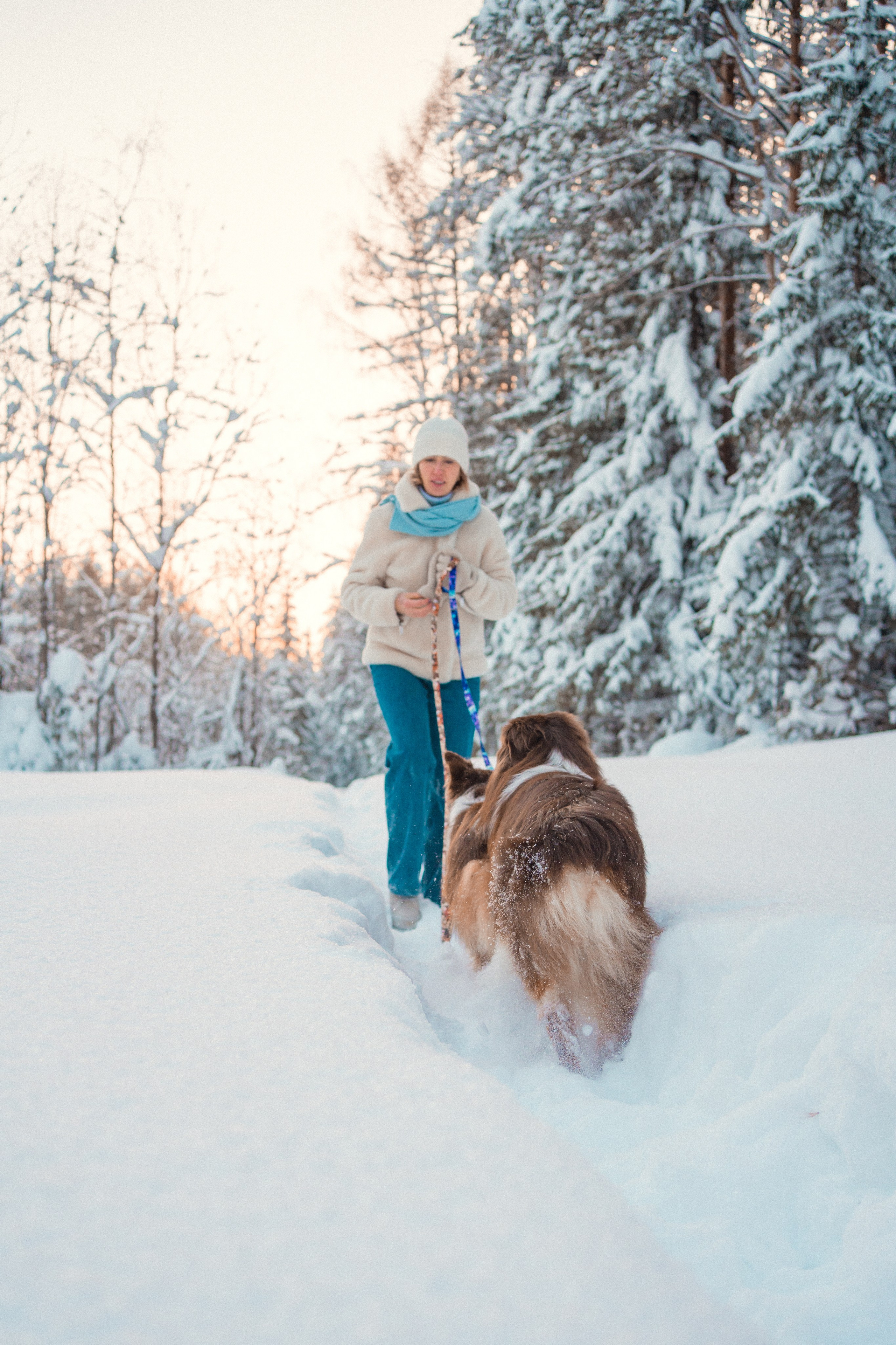 Айла и Харли. Фотограф-анималист Анастасия Большакова