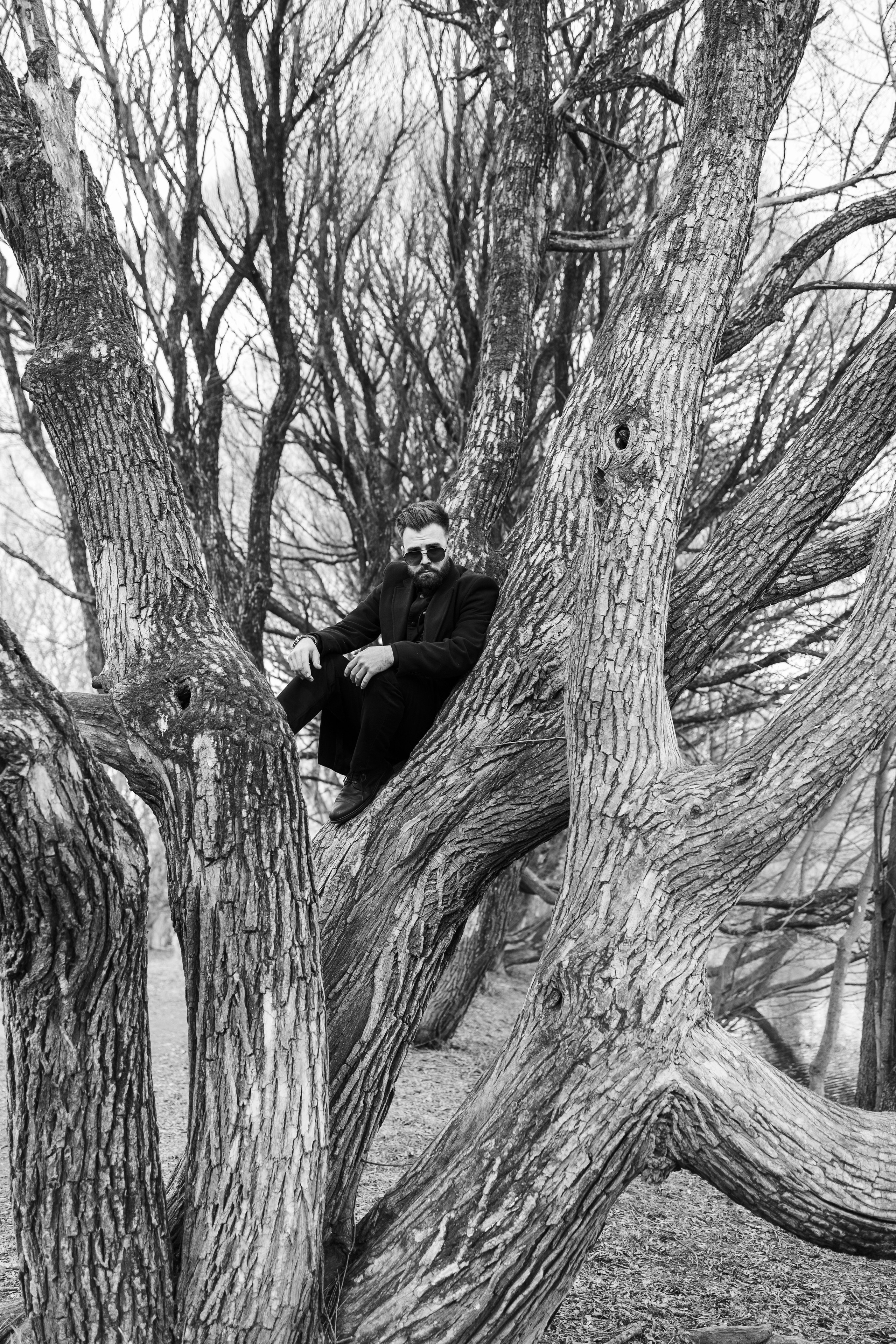 Фотосессия на дереве