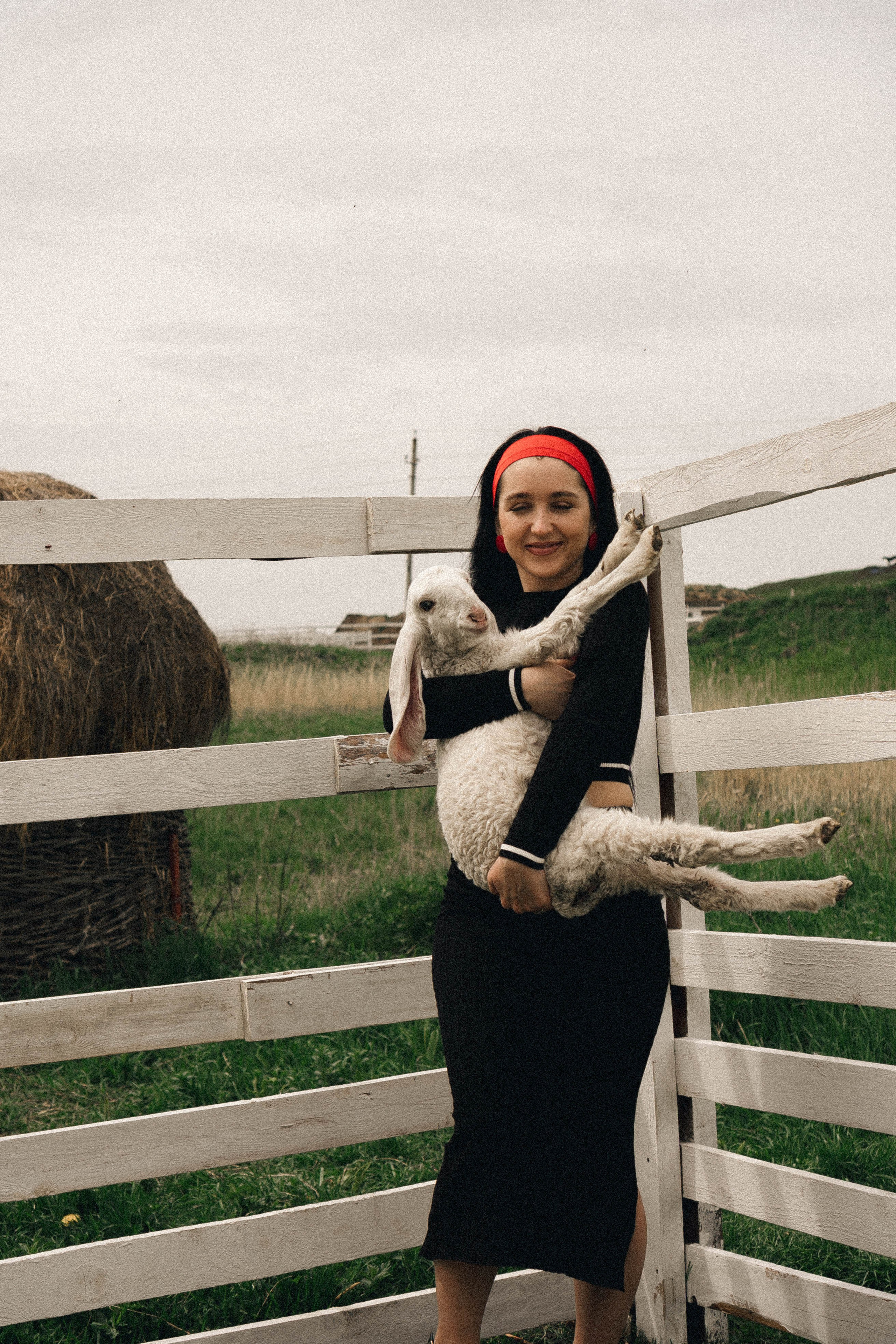 Ферма Альпак. Профессиональный фотограф, Санкт-Петербург — Виктория Богомолова