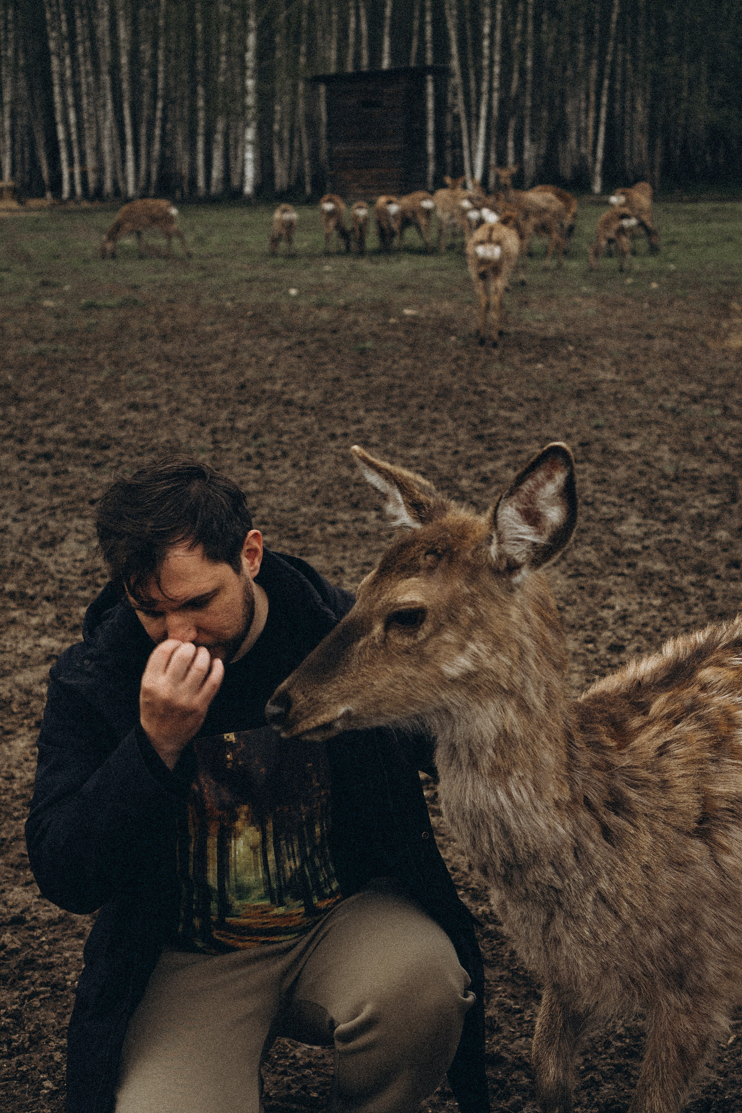 ОЛЕНЬЯ ФЕРМА В ТВЕРИ. Профессиональный фотограф, Санкт-Петербург — Виктория Богомолова