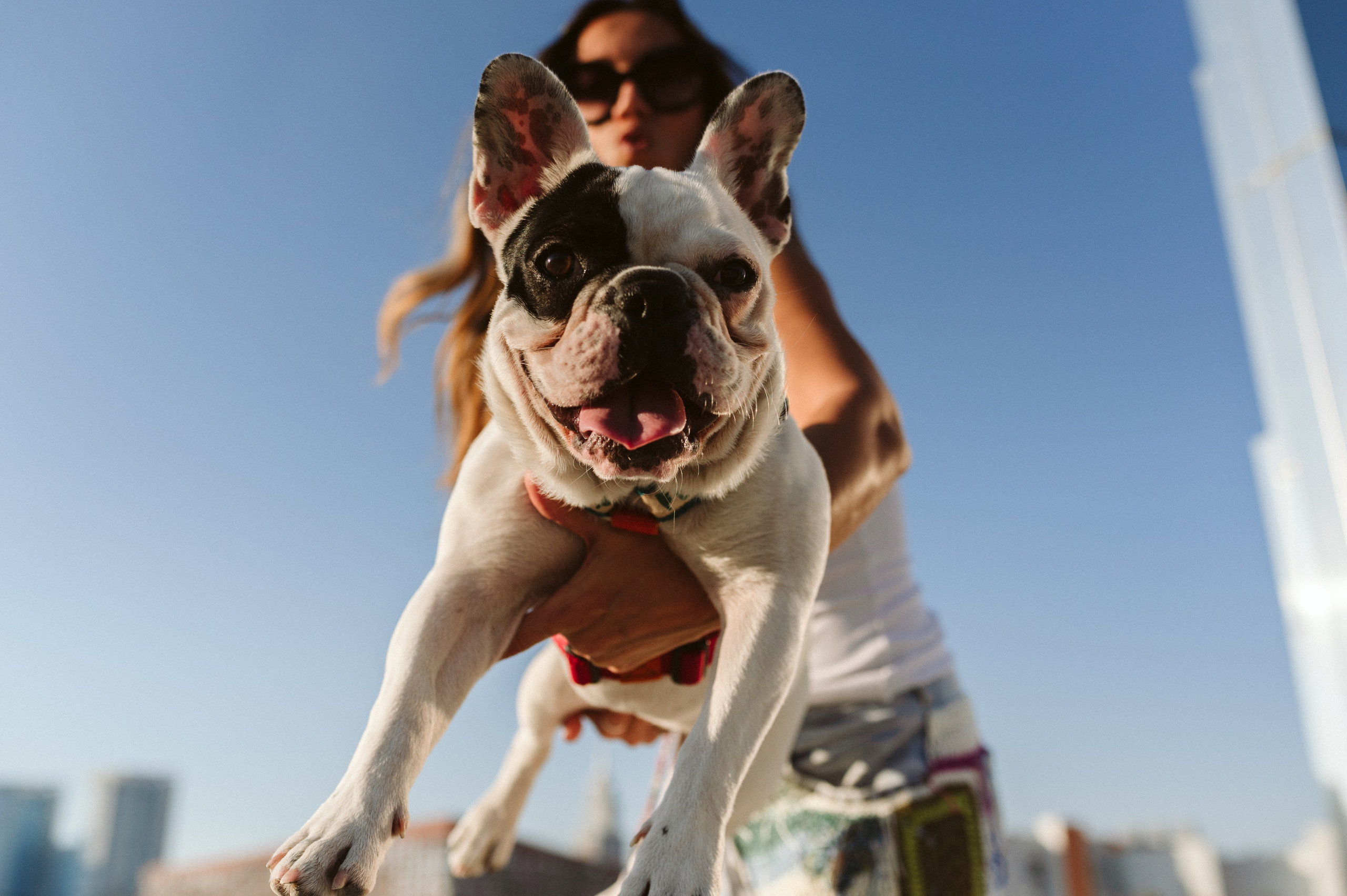 Инна и Белль. Фотограф анималист в Москве Ольга Агушева