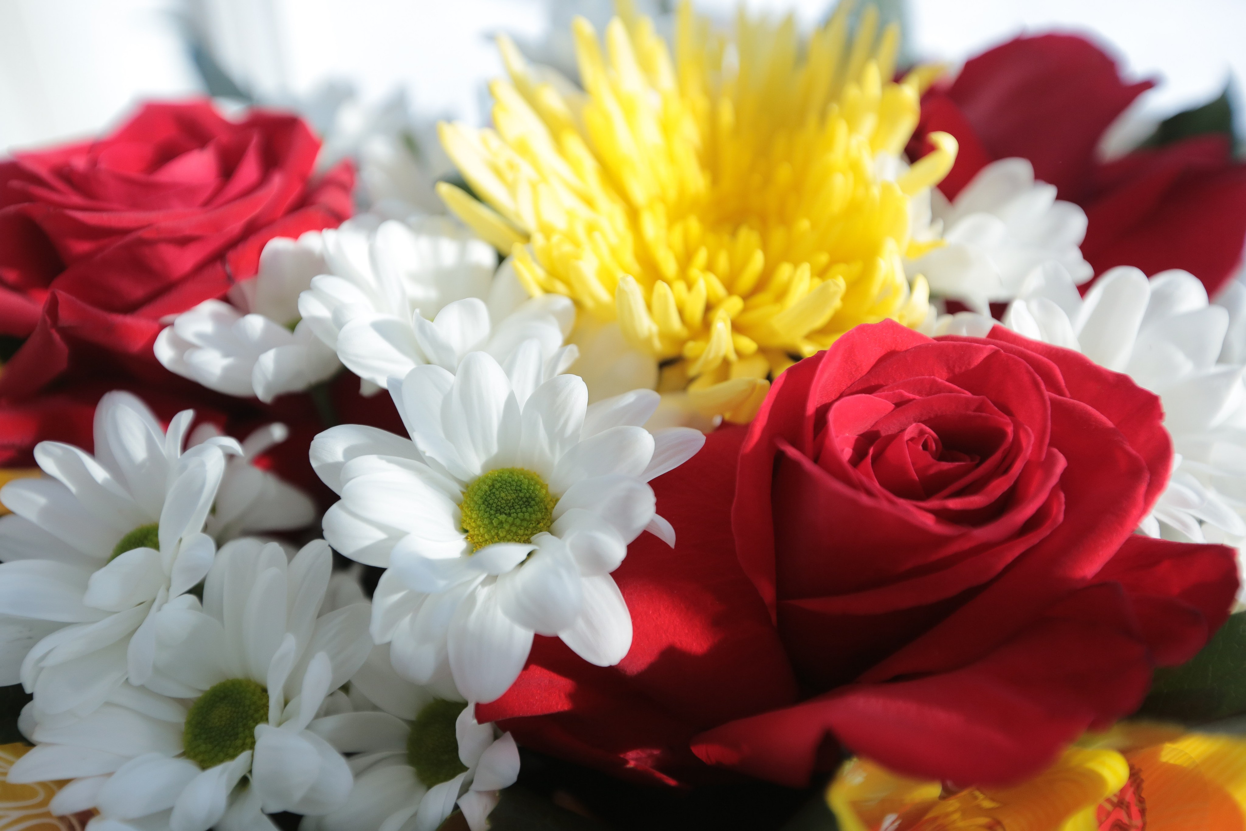 Фото Цветов. Студия Максима Белослюдцева