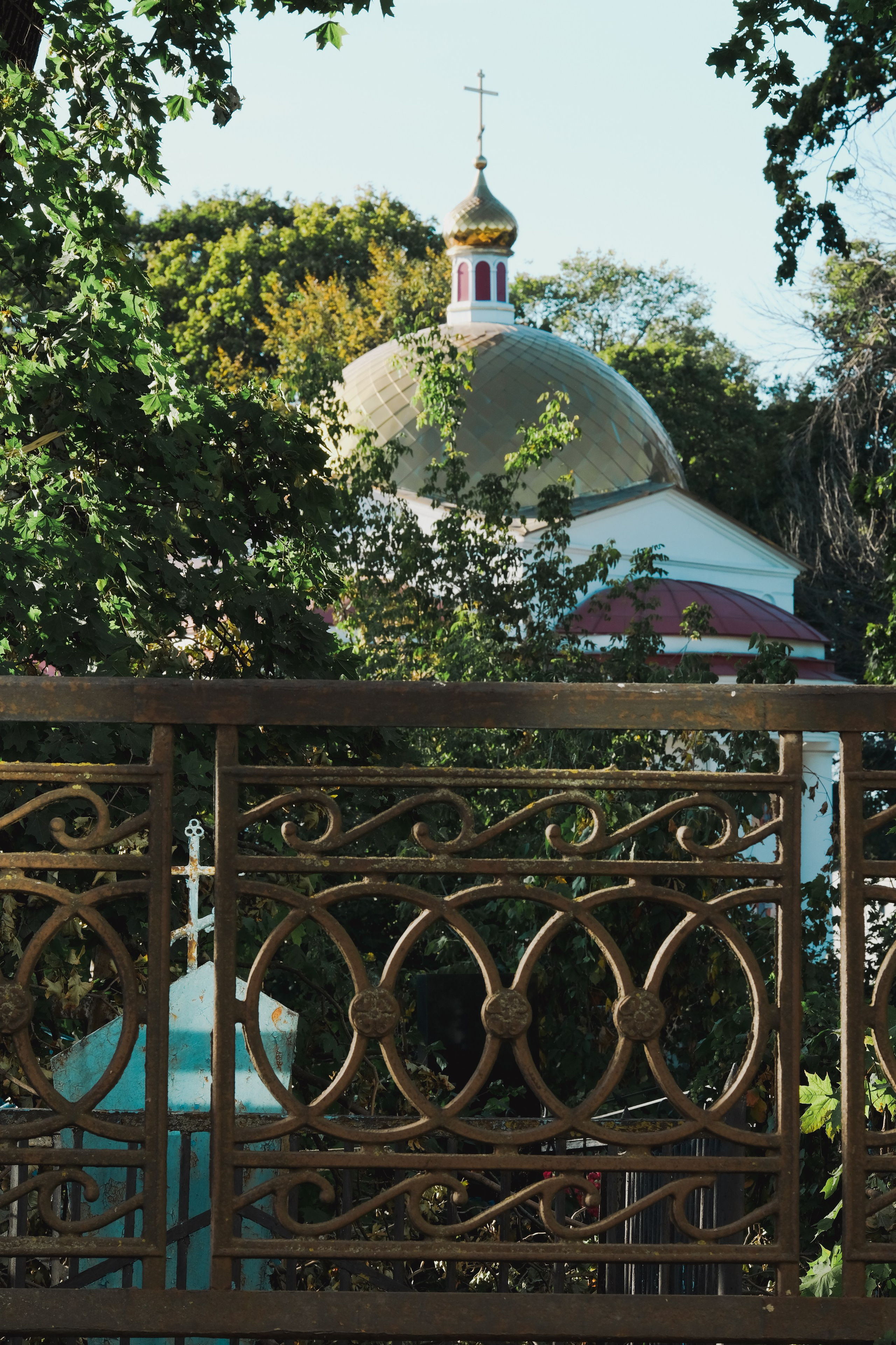 Одиночные. Фотограф Кузнецов Егор Липецк