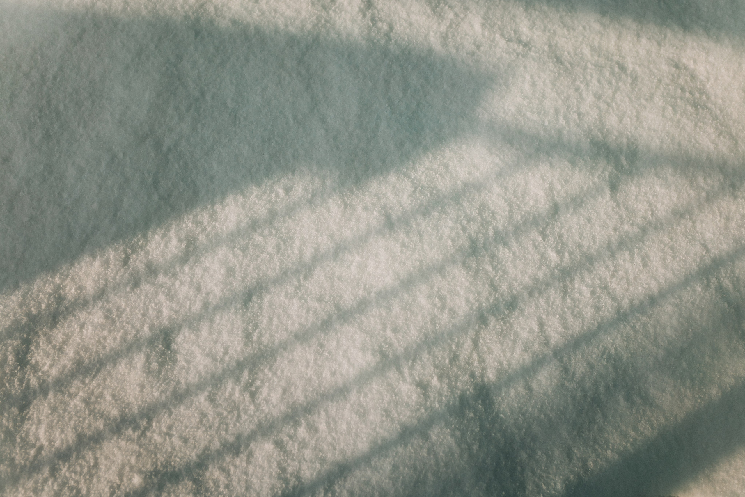 Маша и зима на Балтике. Фотограф Зеленоградск Красильникова Елена