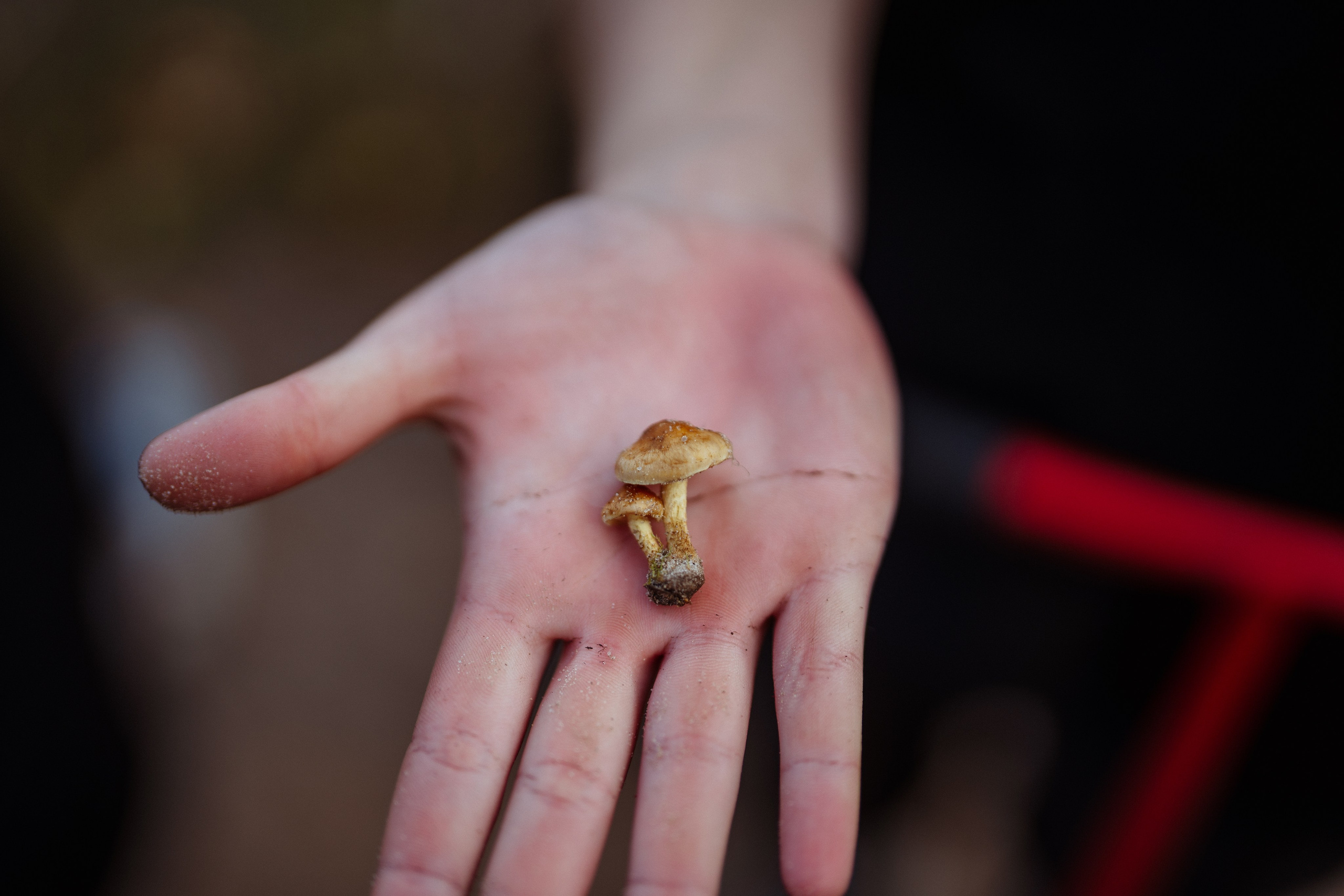СБЕР · ЭКА · Посадка сеянцев. Владимир Вершинин, тот самый свадебный видеограф