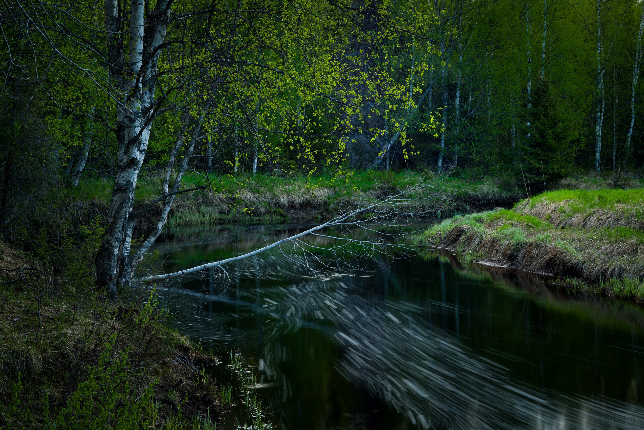 Весна. Северные Ночи