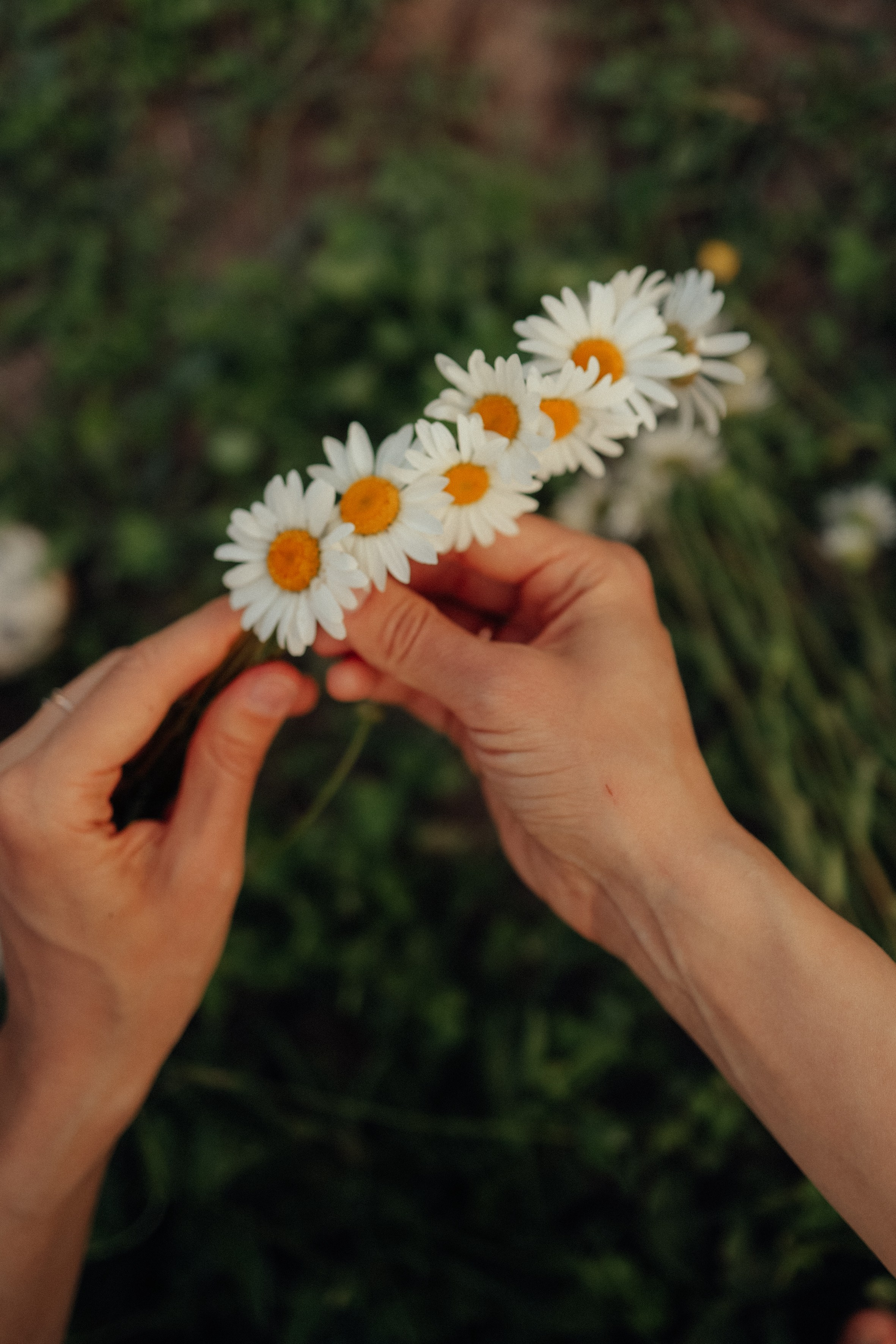 Семейные фотосессии в Нижнем Новгороде. Фотограф и видеограф Елена Лисина