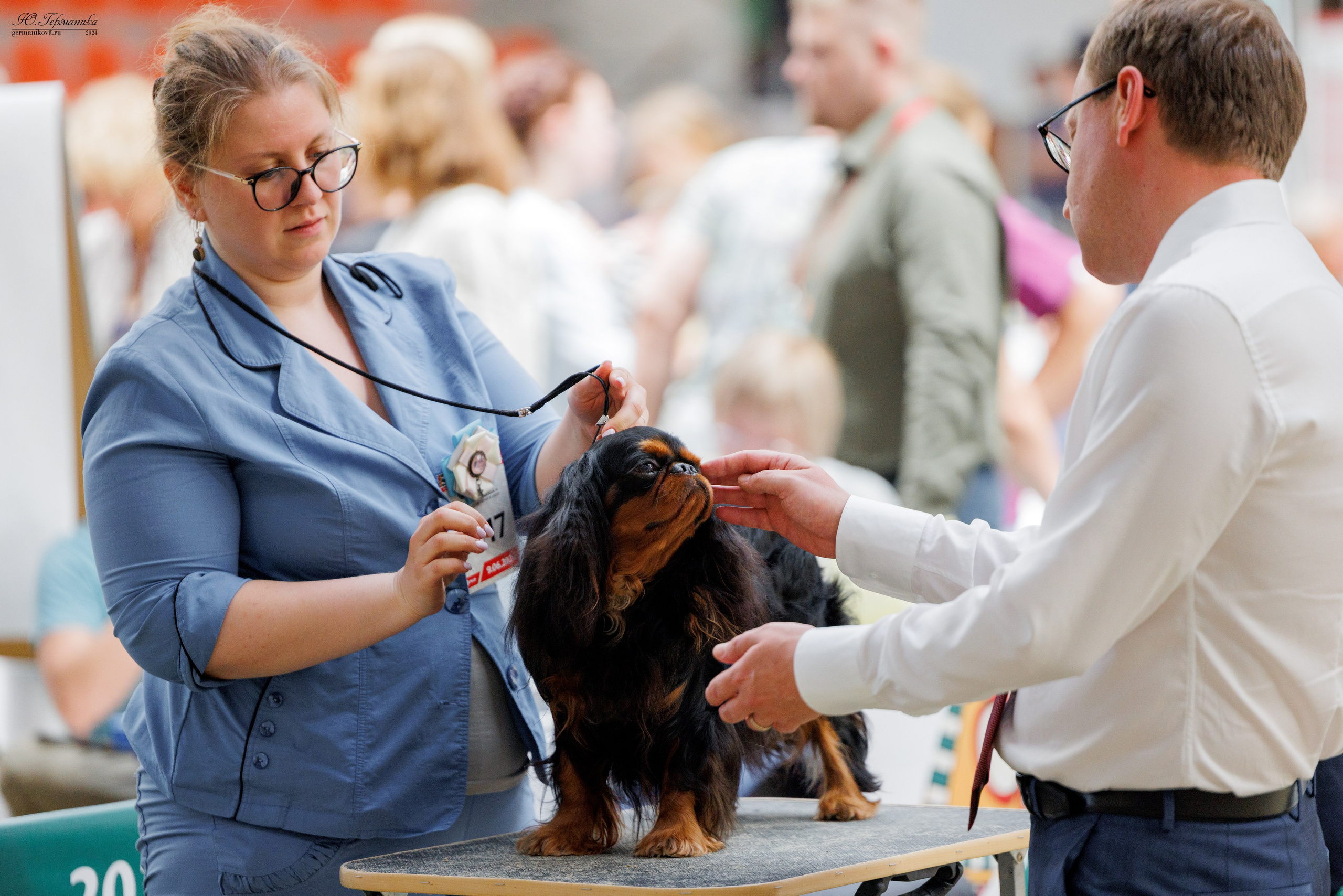 РОССИЯ 8-9.06.2024. Фотограф-анималист Юлия Германика