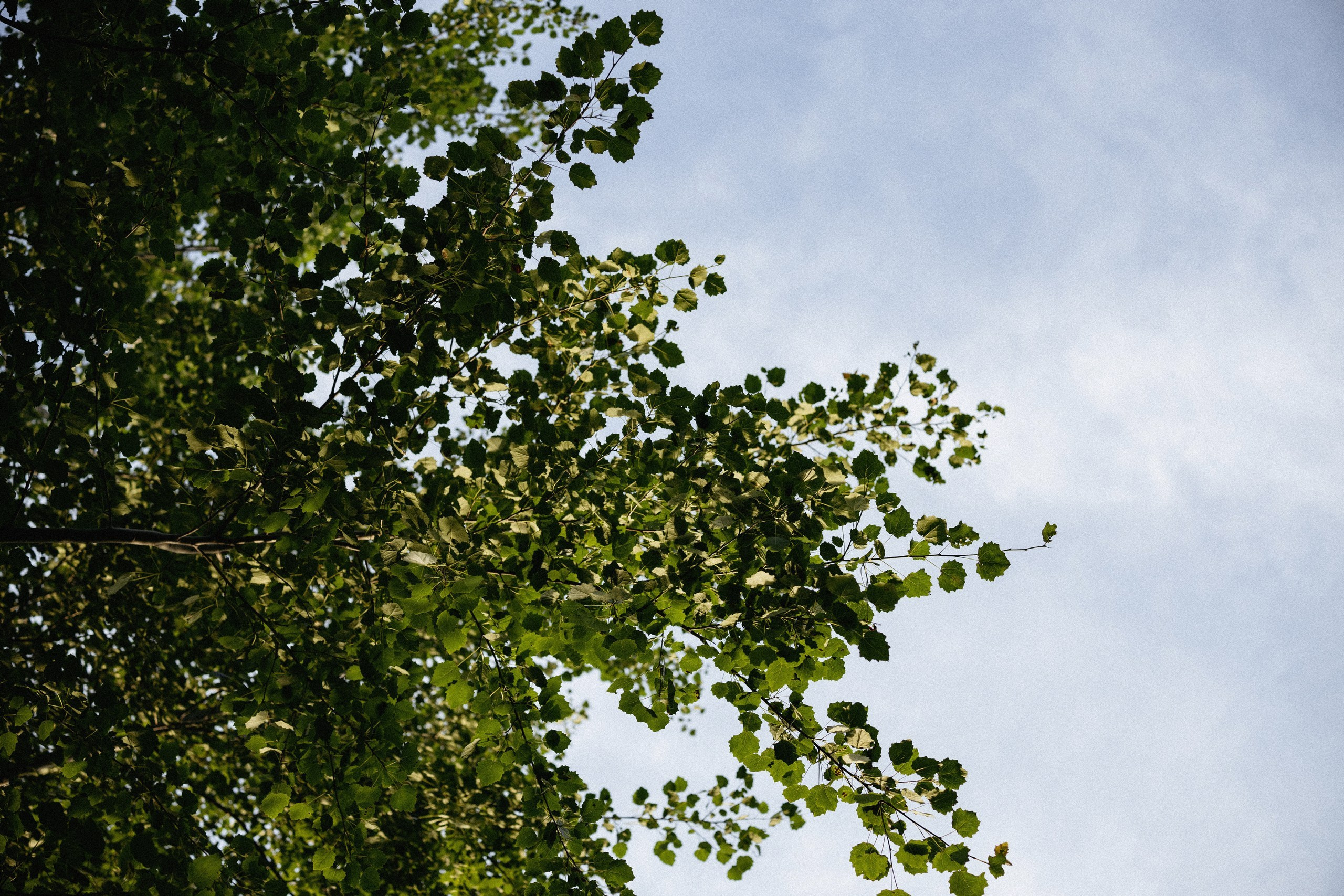 Окунуться в детство 🤍 Прогулка с сестрой. Вера Пьянцева фотограф в Санкт-Петербурге | индивидуальная, семейная и парная (love-story) съёмка