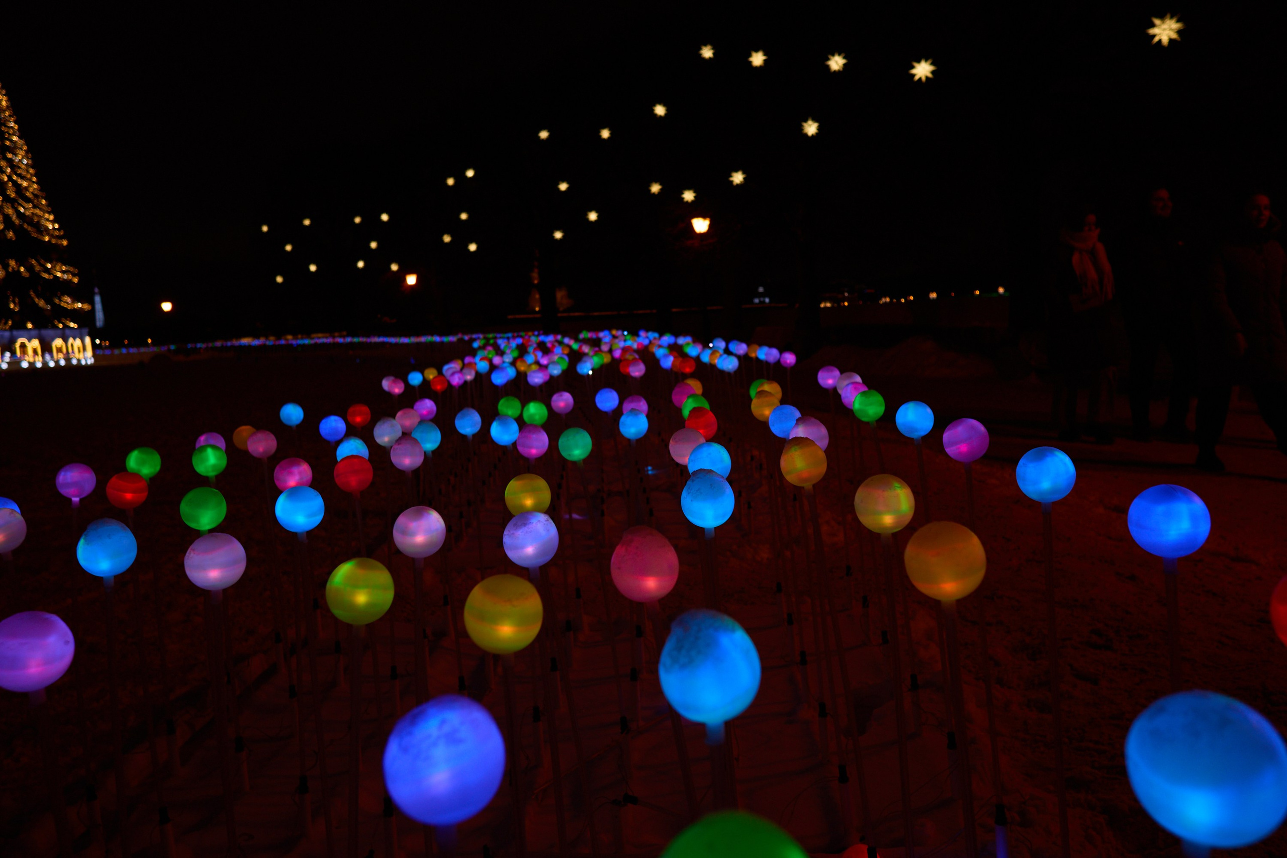 Рождество въ Санктъ-Петербургѣ. Фотографъ Сергѣевъ. Поймать мгновеніе