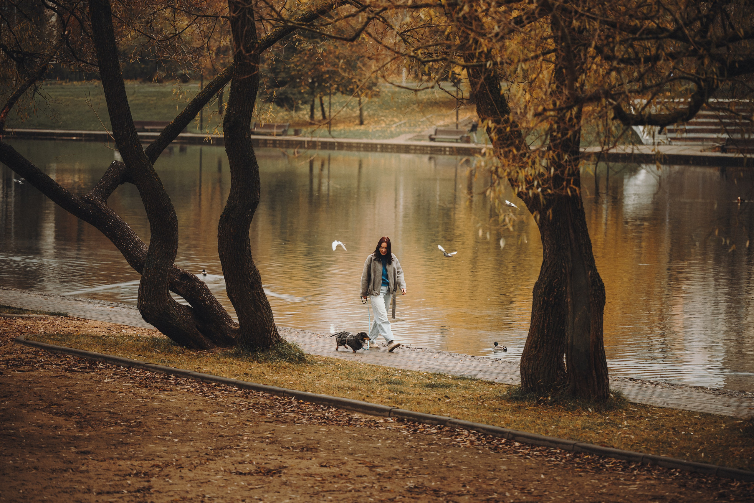 Аня, Оскар и Яр. Семейный фотограф анималист Ананьева Мария — Москва