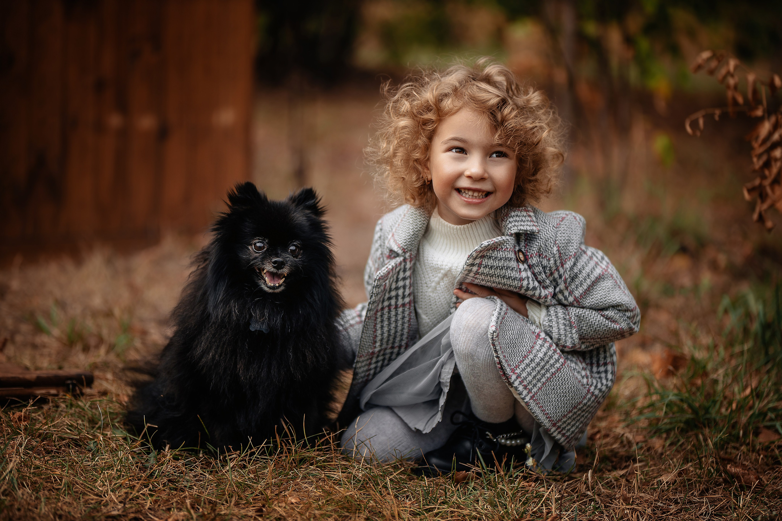 Фотосессия с собаками