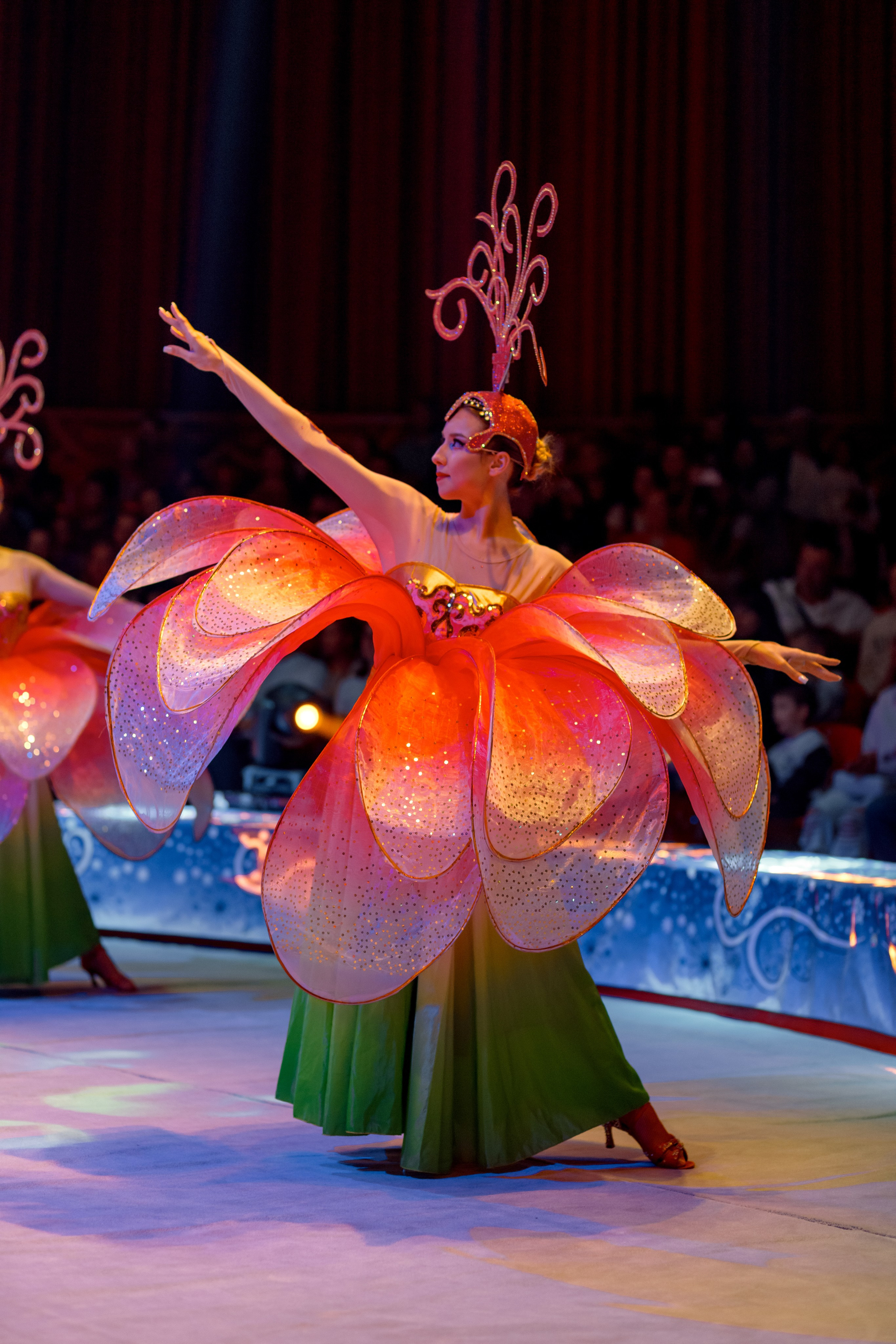 Цирк Moretti в Иркутске. Свадебный фотограф Иркутск, репортажный фотограф Иркутск