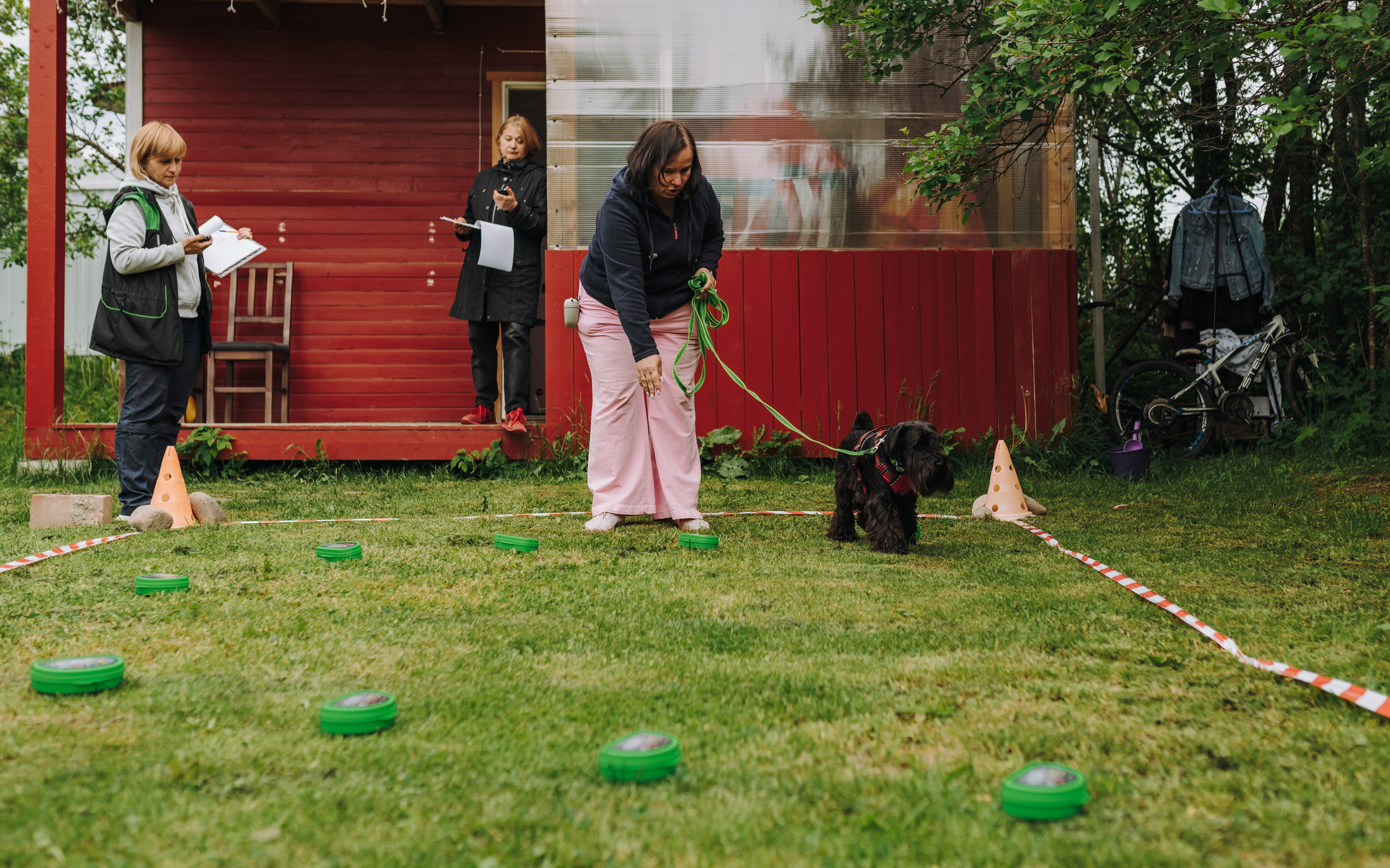 Соревнования по ноузворку. Фотограф анималист в Спб недорого Олеся Майорова