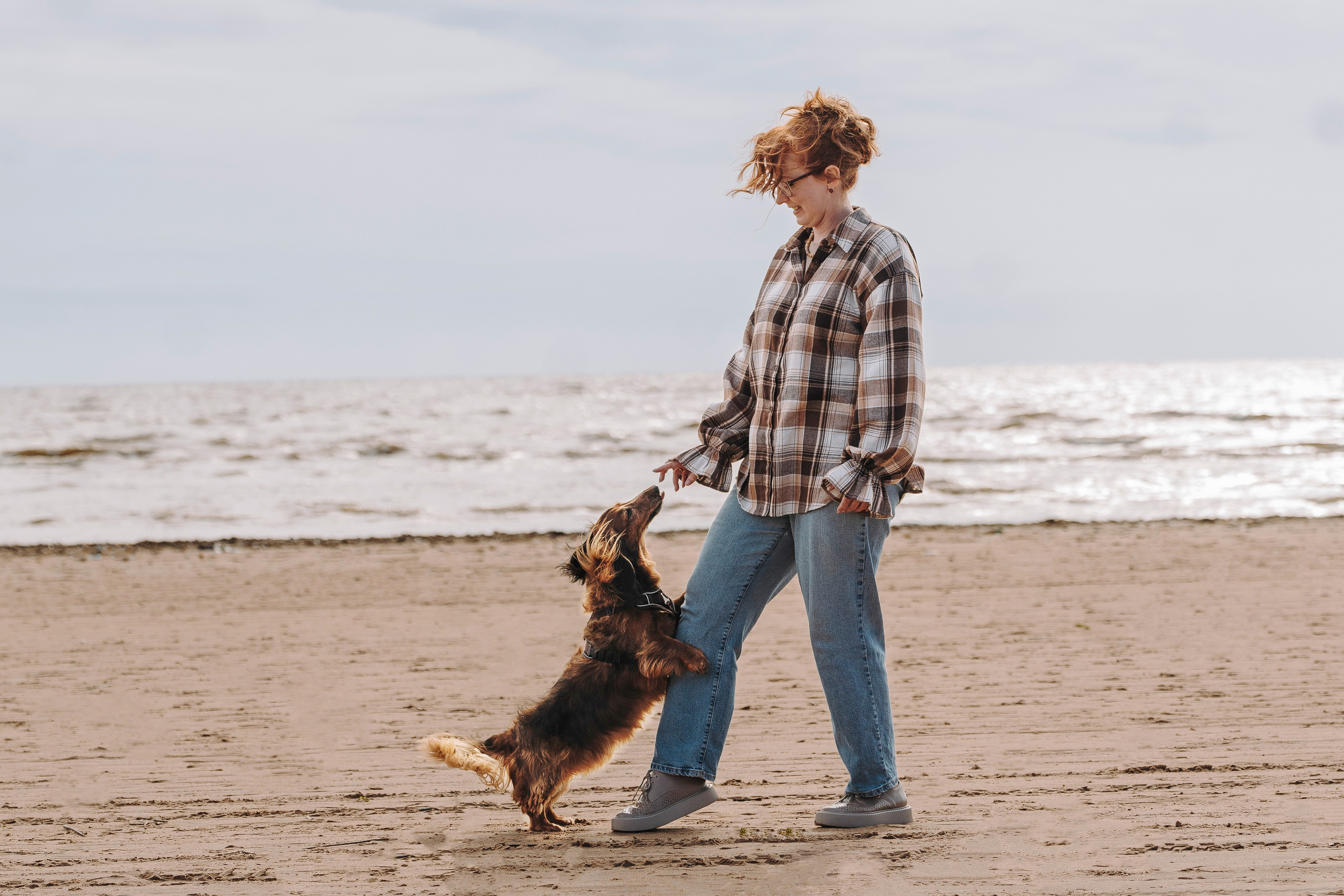 Фотосессия с длиношерстной таксой на пляжн. Фотограф анималист в Спб недорого Олеся Майорова