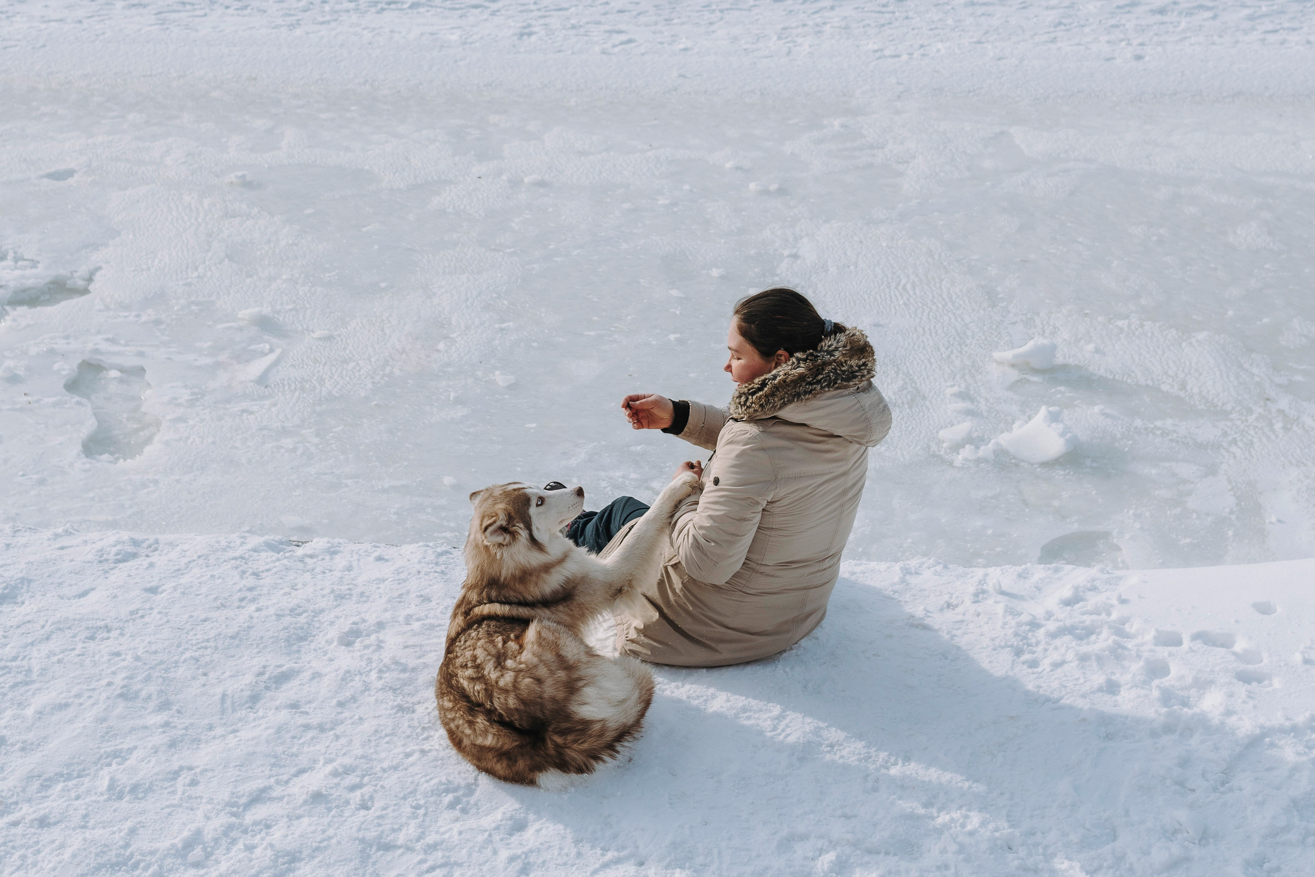 Мария и Амелия. Фотограф анималист в Спб недорого Олеся Майорова