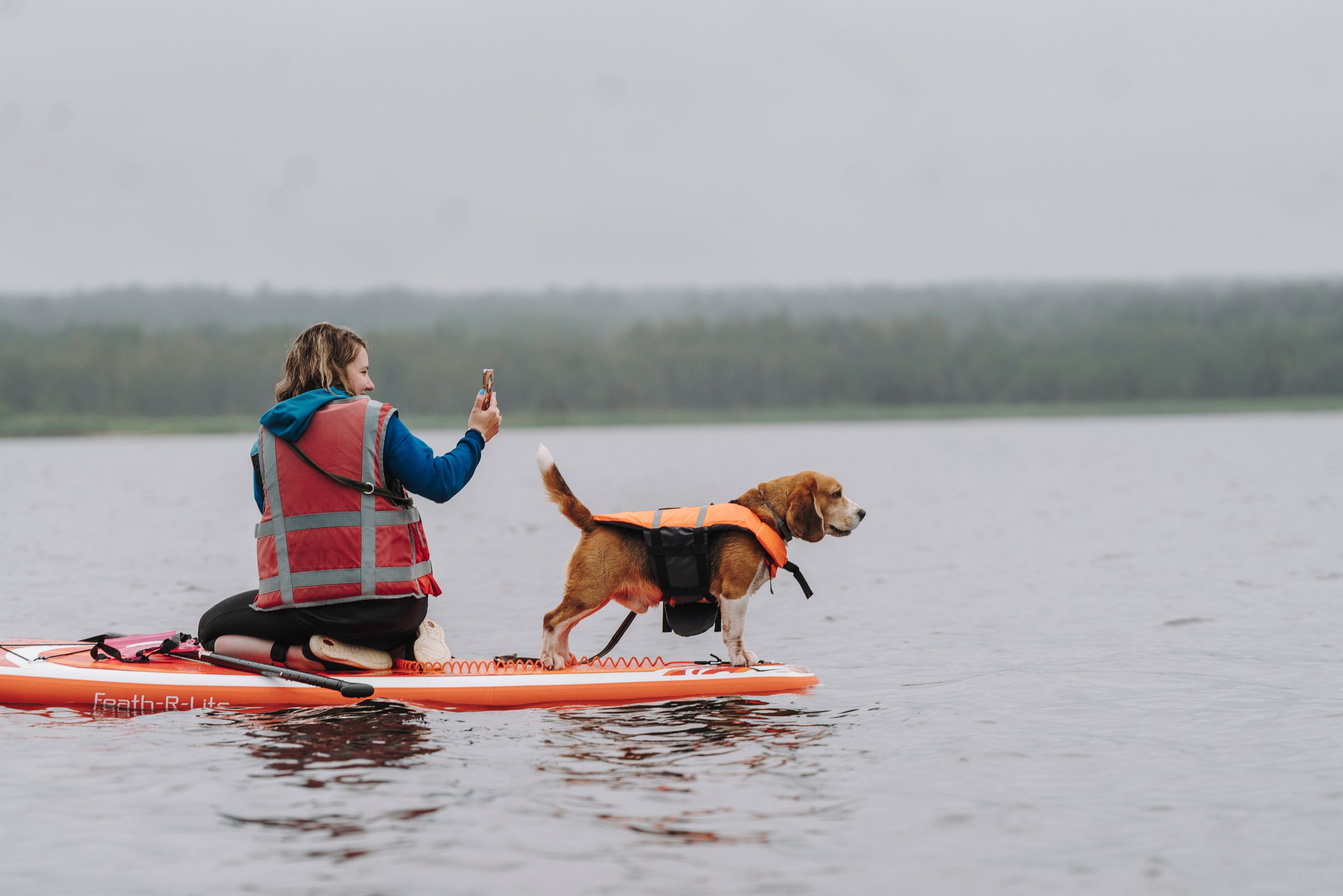Катание на сапах с собаками. Фотограф анималист в Спб недорого Олеся Майорова