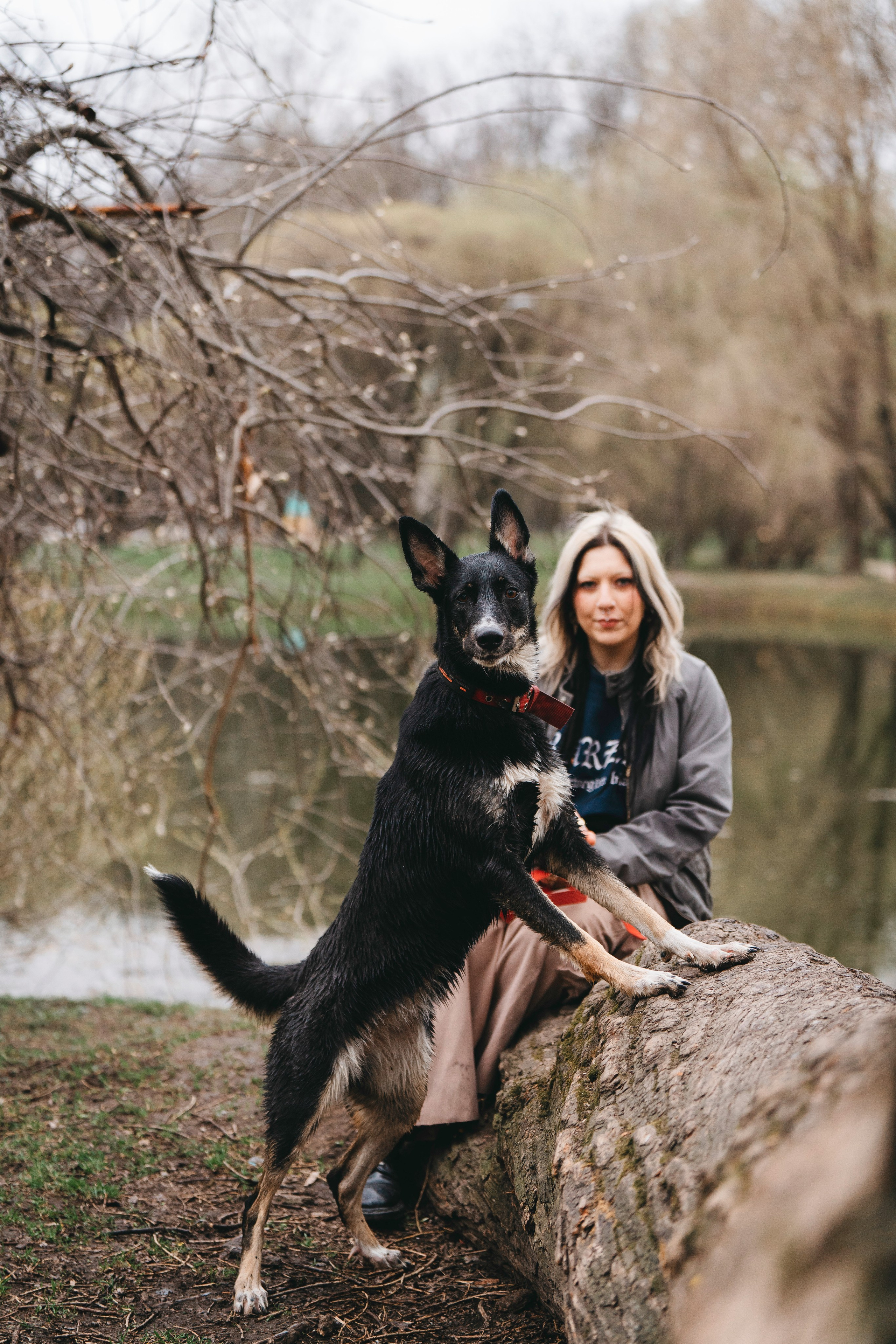 Эля и Шиза. Фотограф анималист в Спб недорого Олеся Майорова
