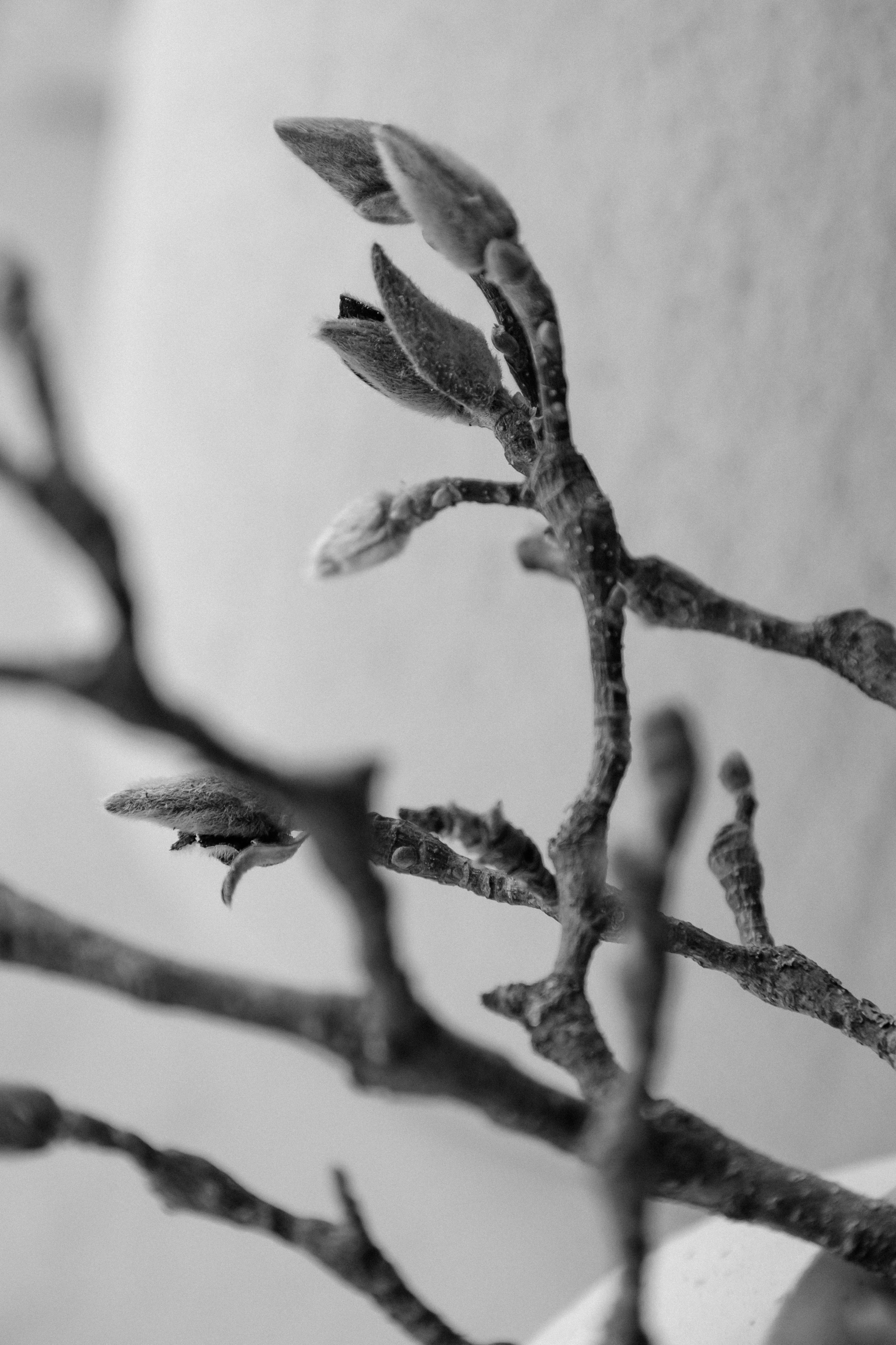 Назар и Арина