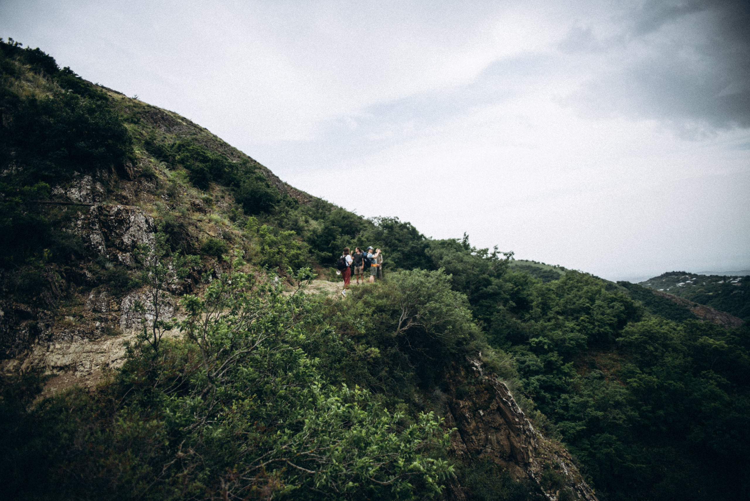 Коджори, Грузия 🇬🇪 «Honey Trip». Anita_photo