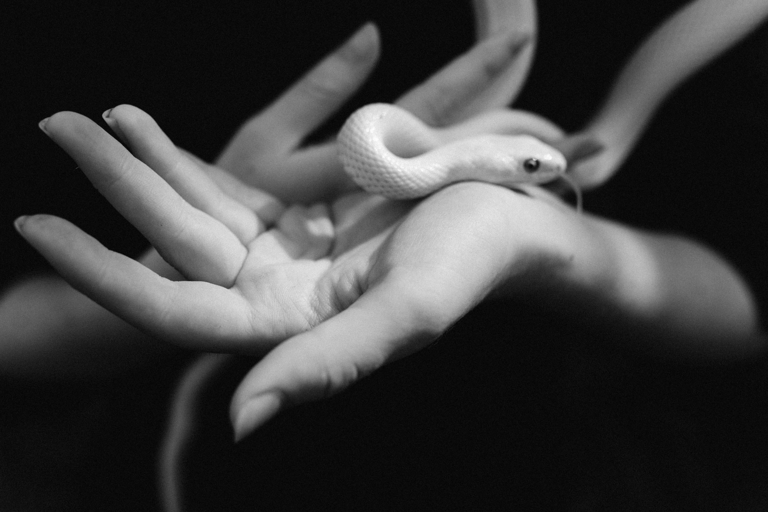 Девушка держит в руках маленькую белую змею